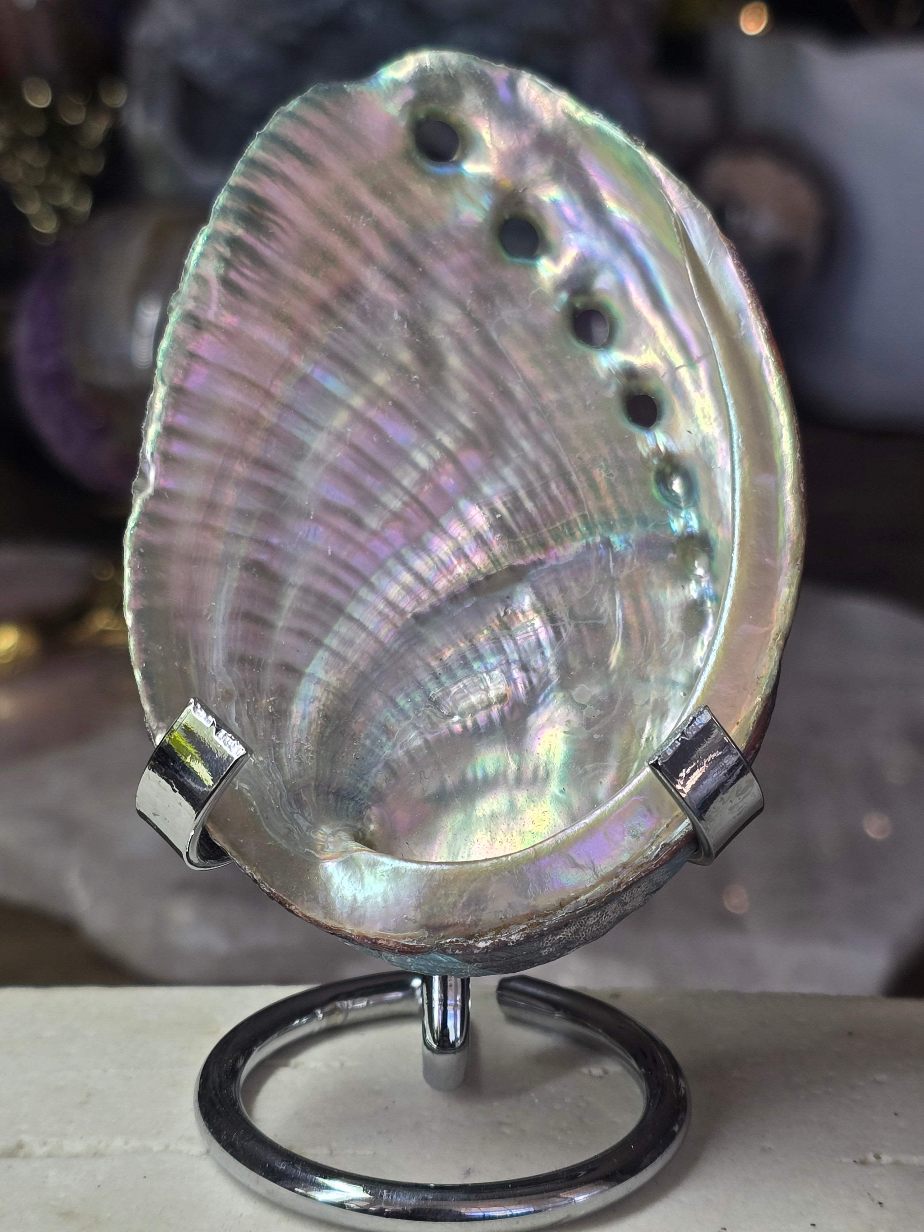 Iridescent Shell Bowl