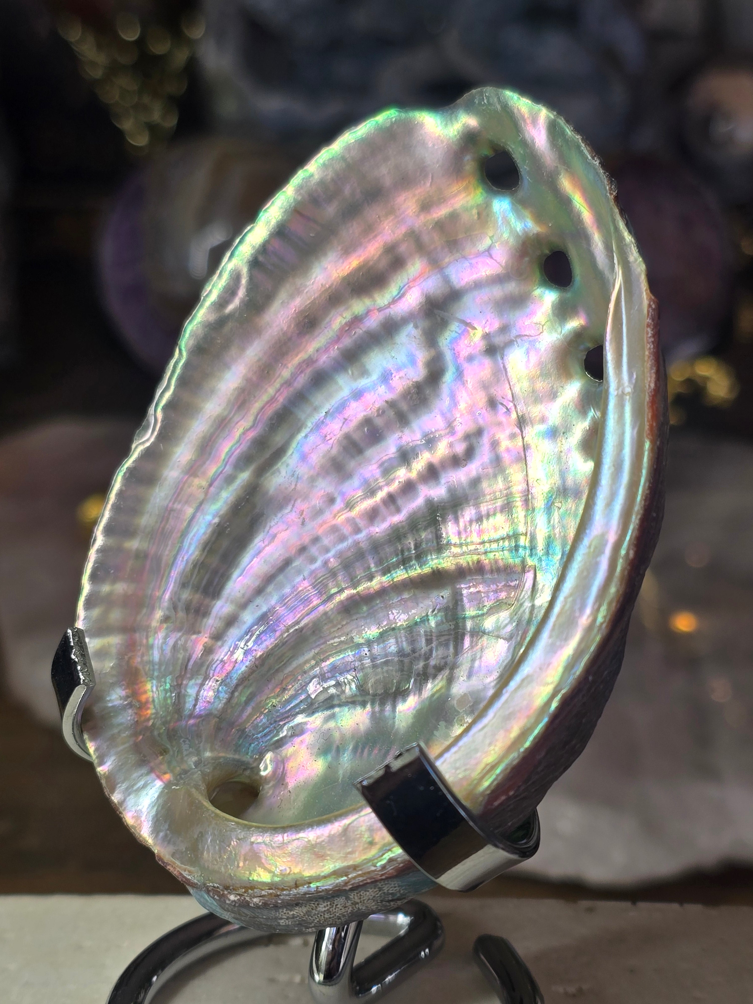 Iridescent Shell Bowl