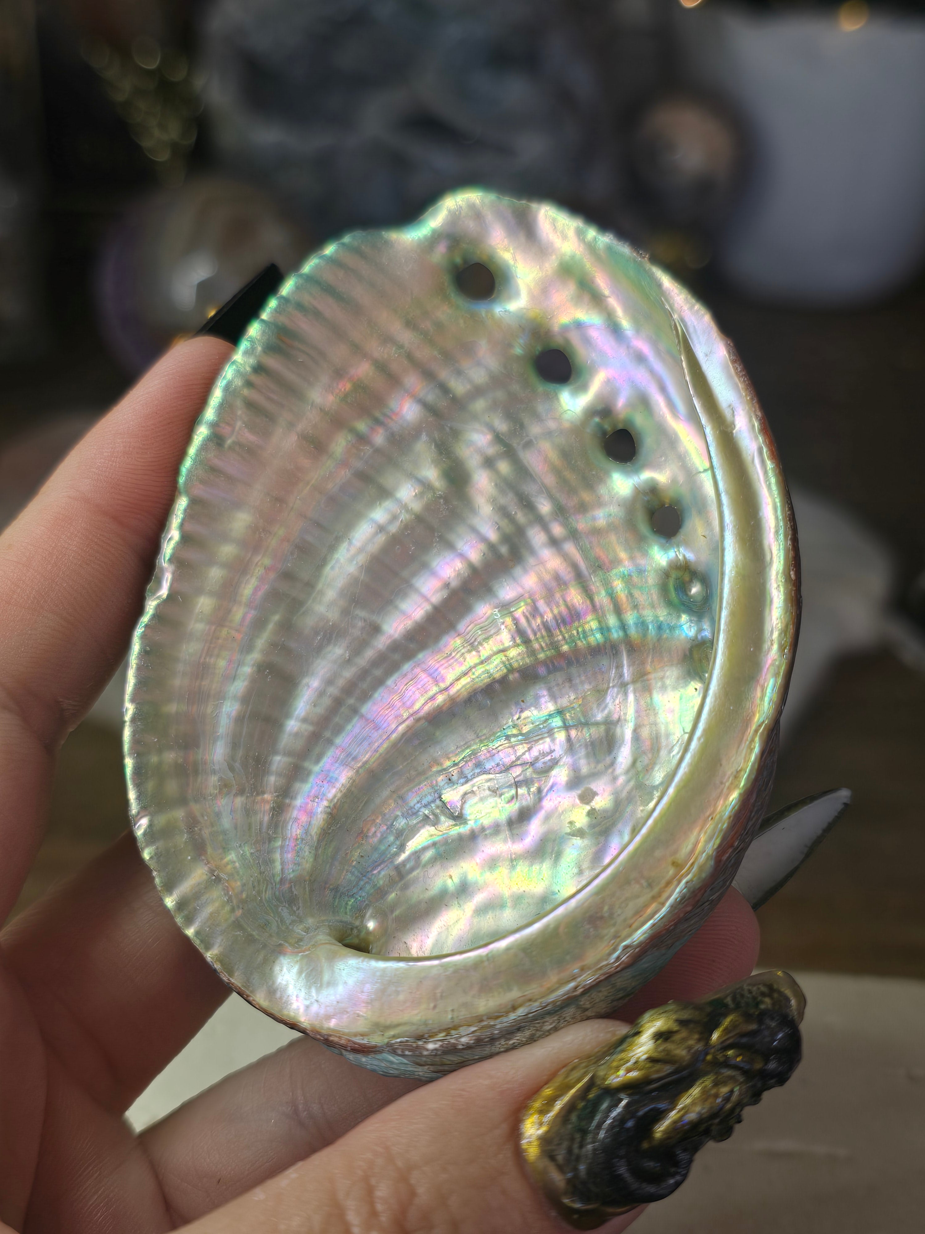 Iridescent Shell Bowl