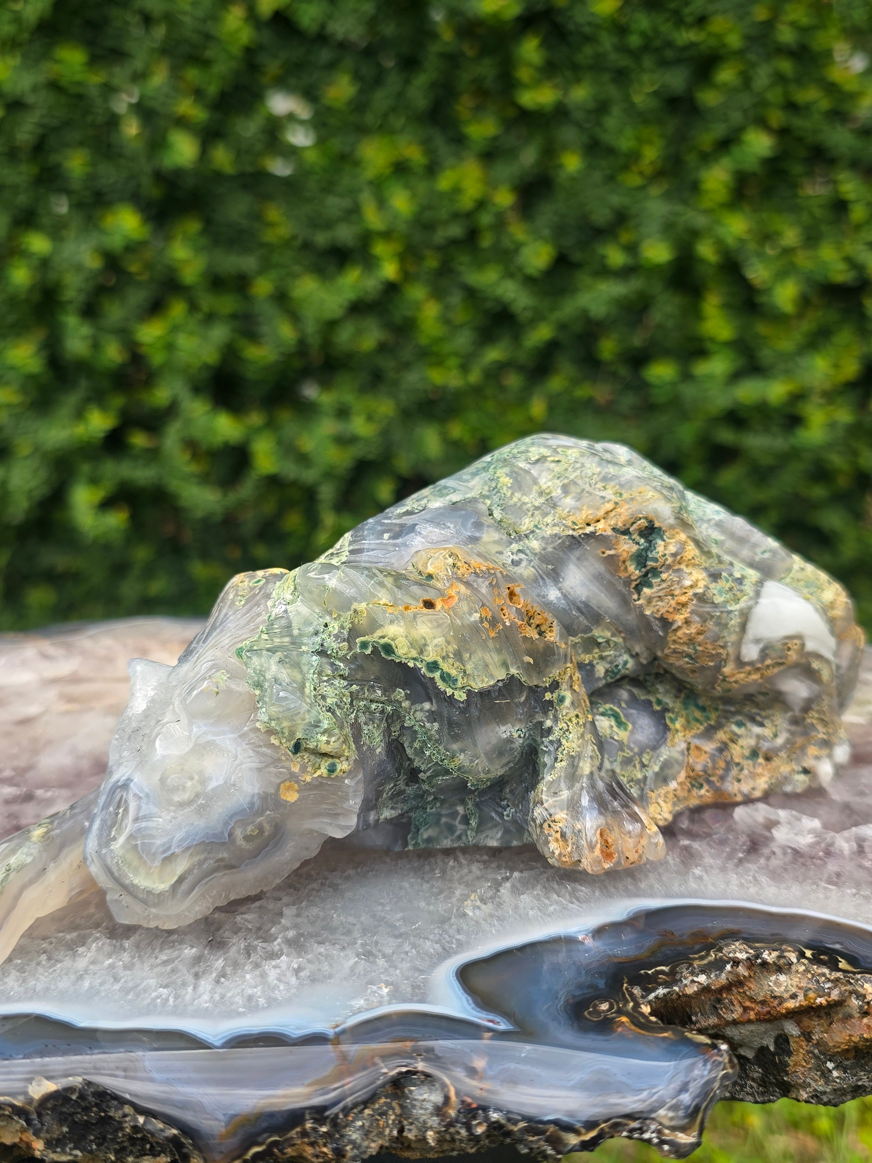 Moss Agate Tiger #9