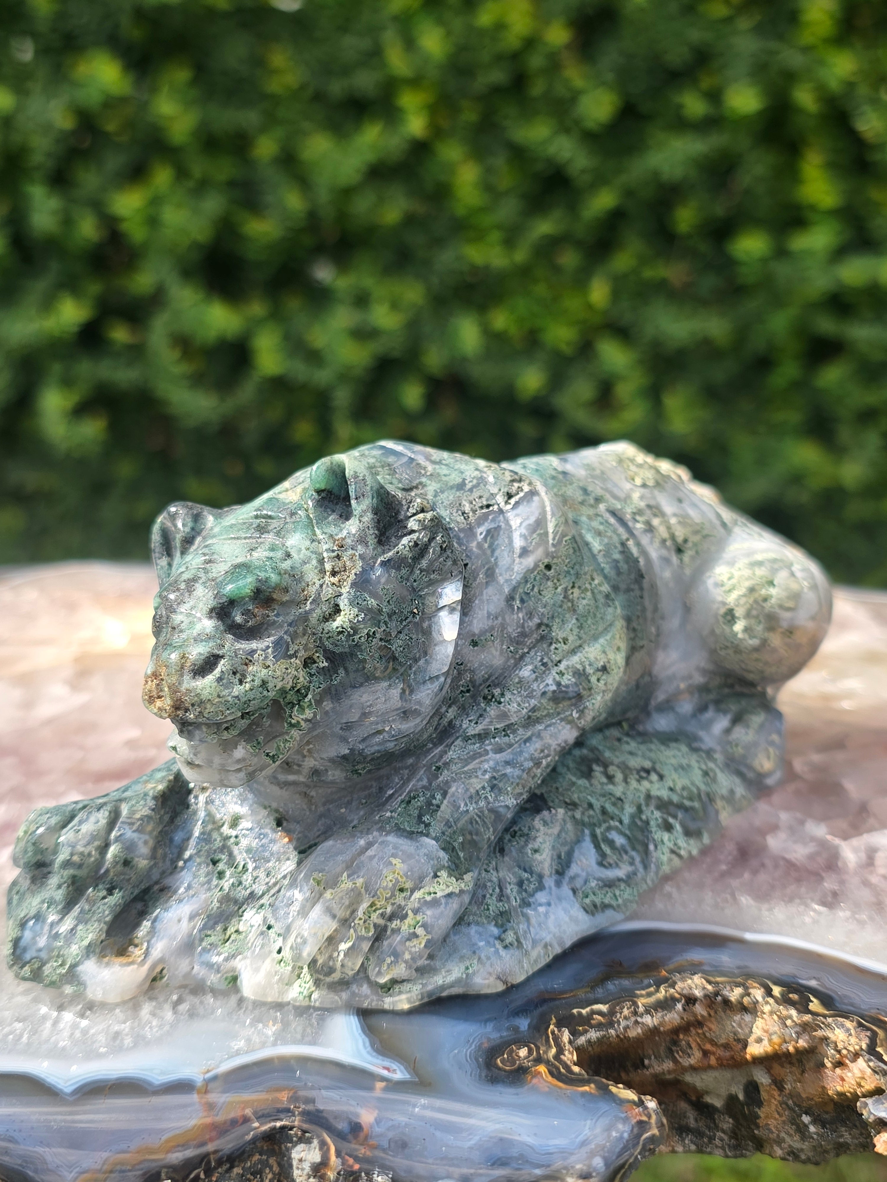 Moss Agate Tiger #6