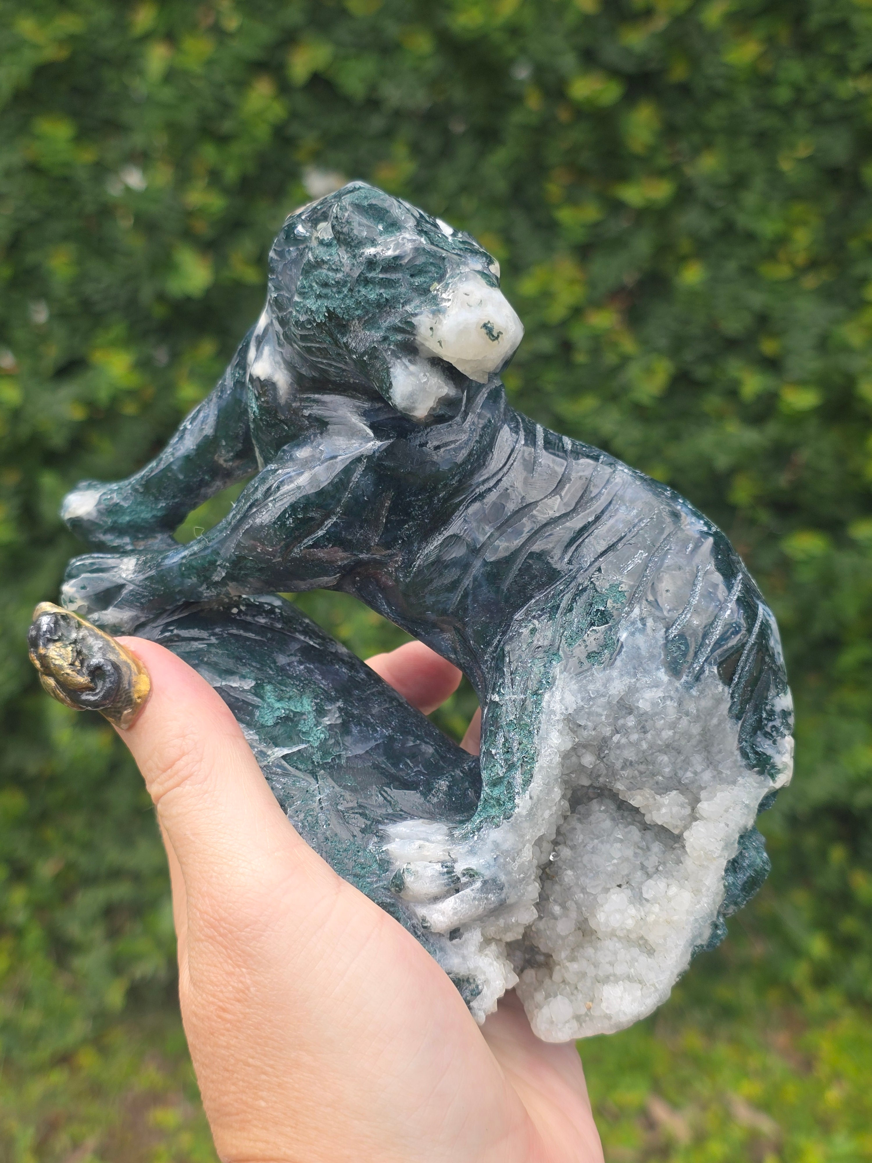 Moss Agate Tiger #12