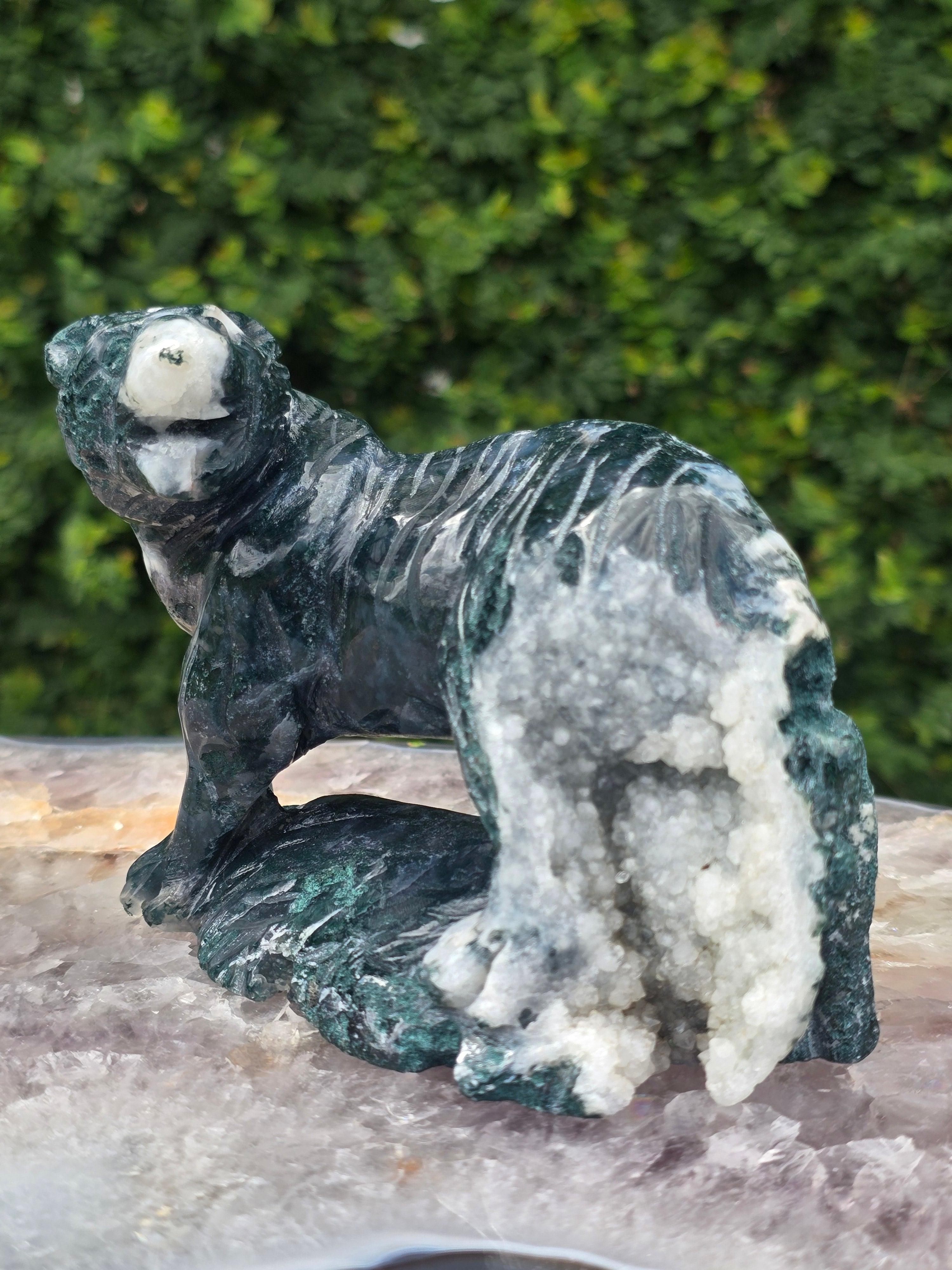 Moss Agate Tiger #12