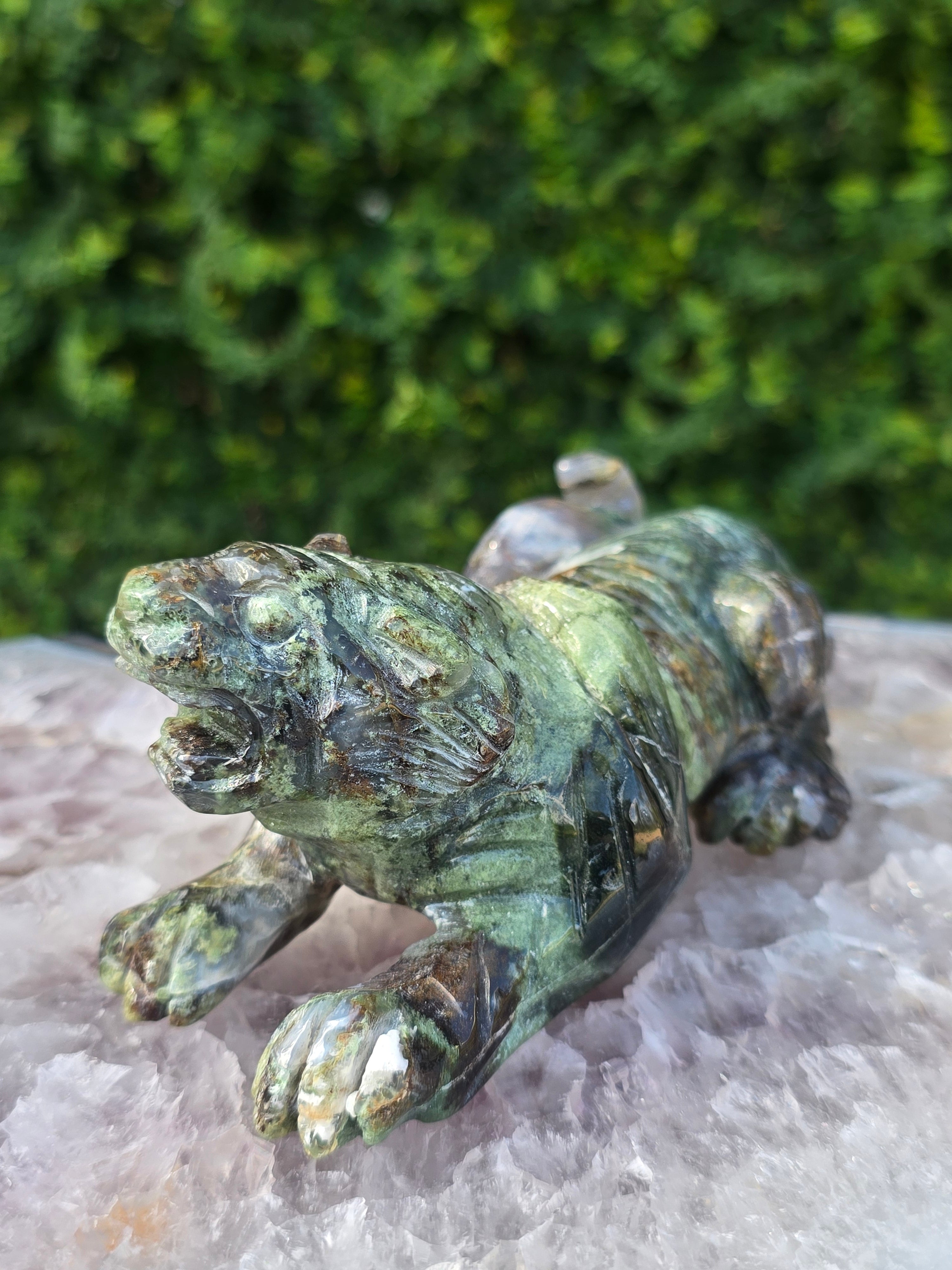 Moss Agate Tiger #1