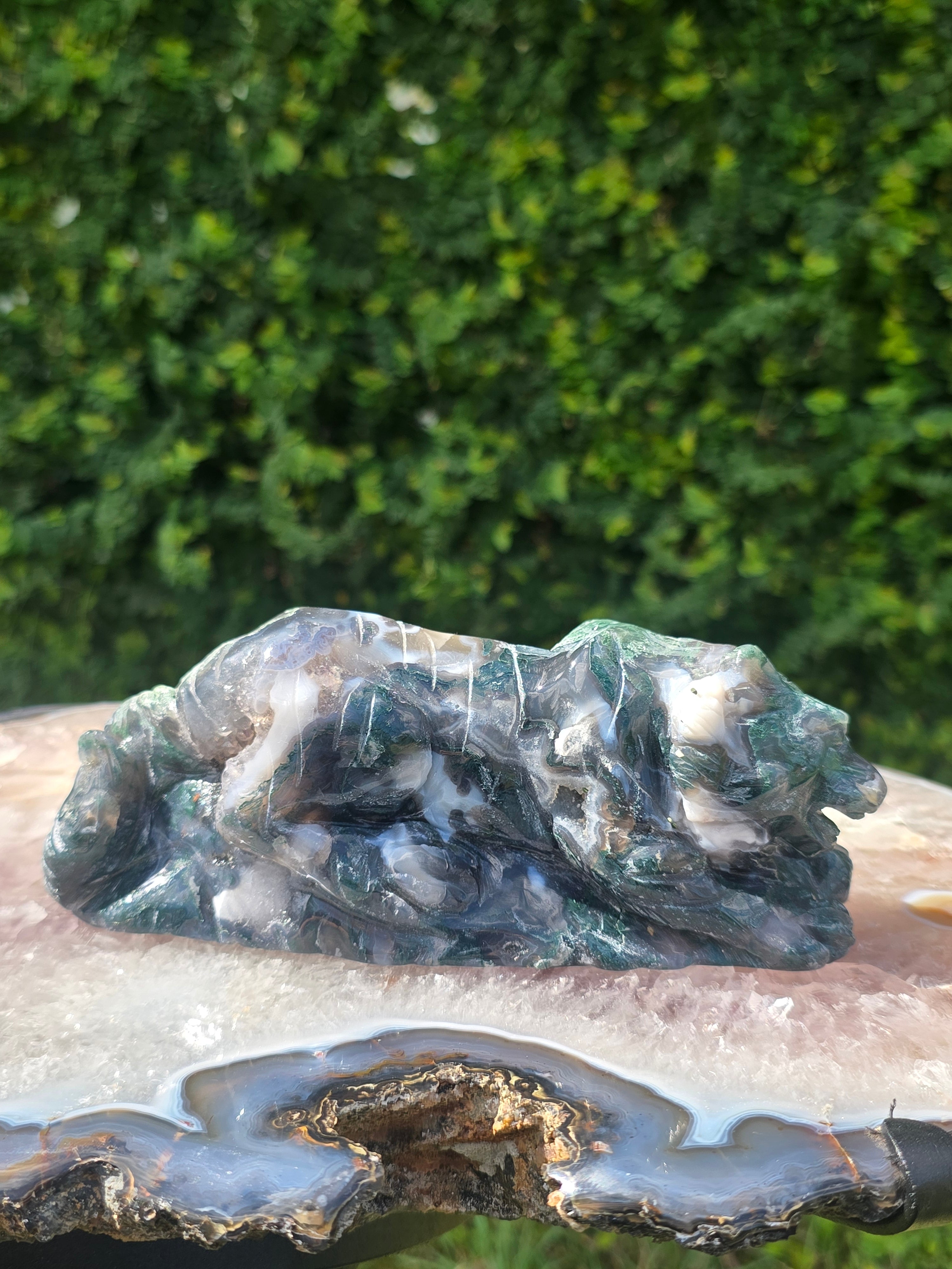 Moss Agate Tiger #4