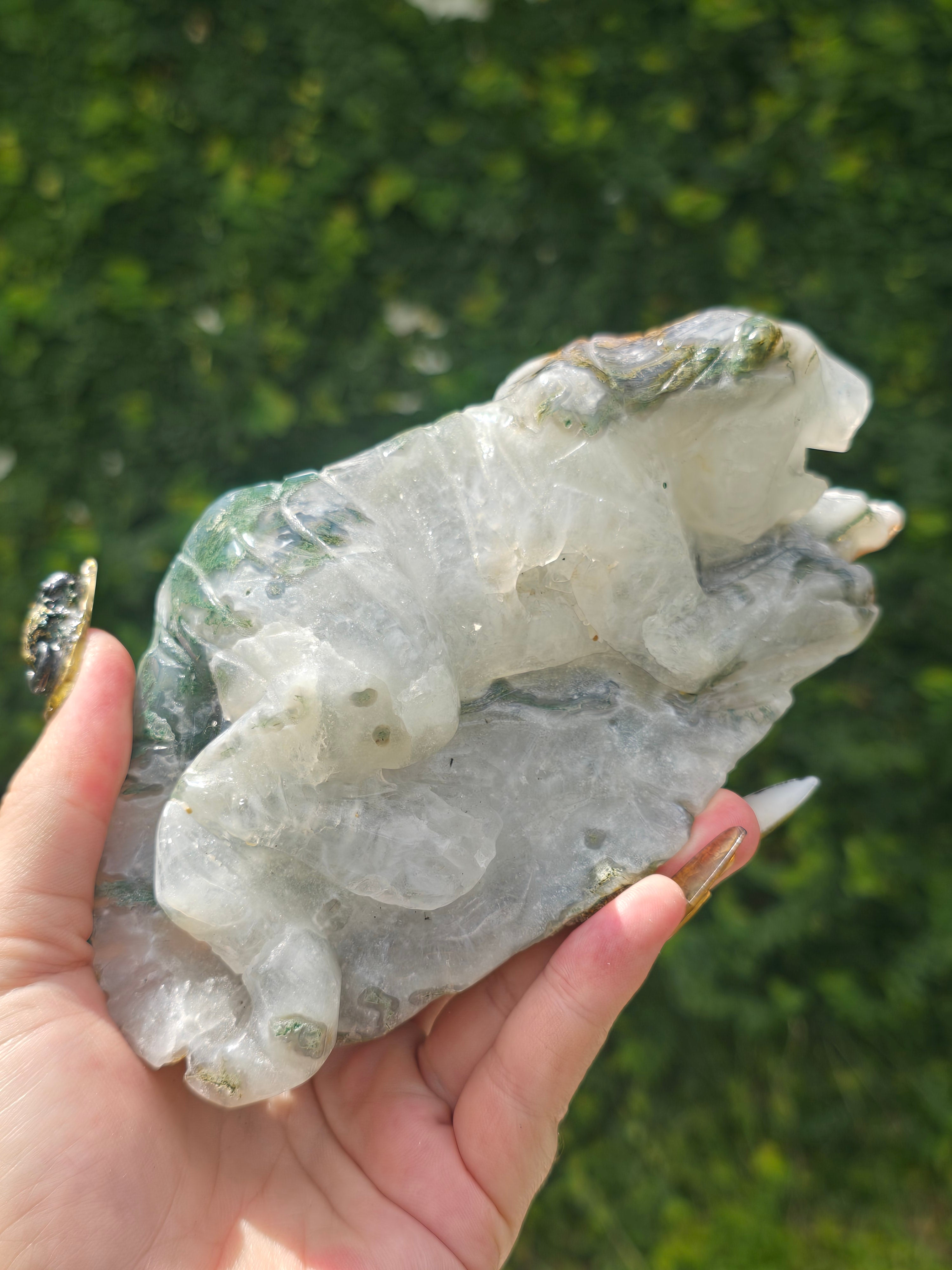 Moss Agate Tiger #9