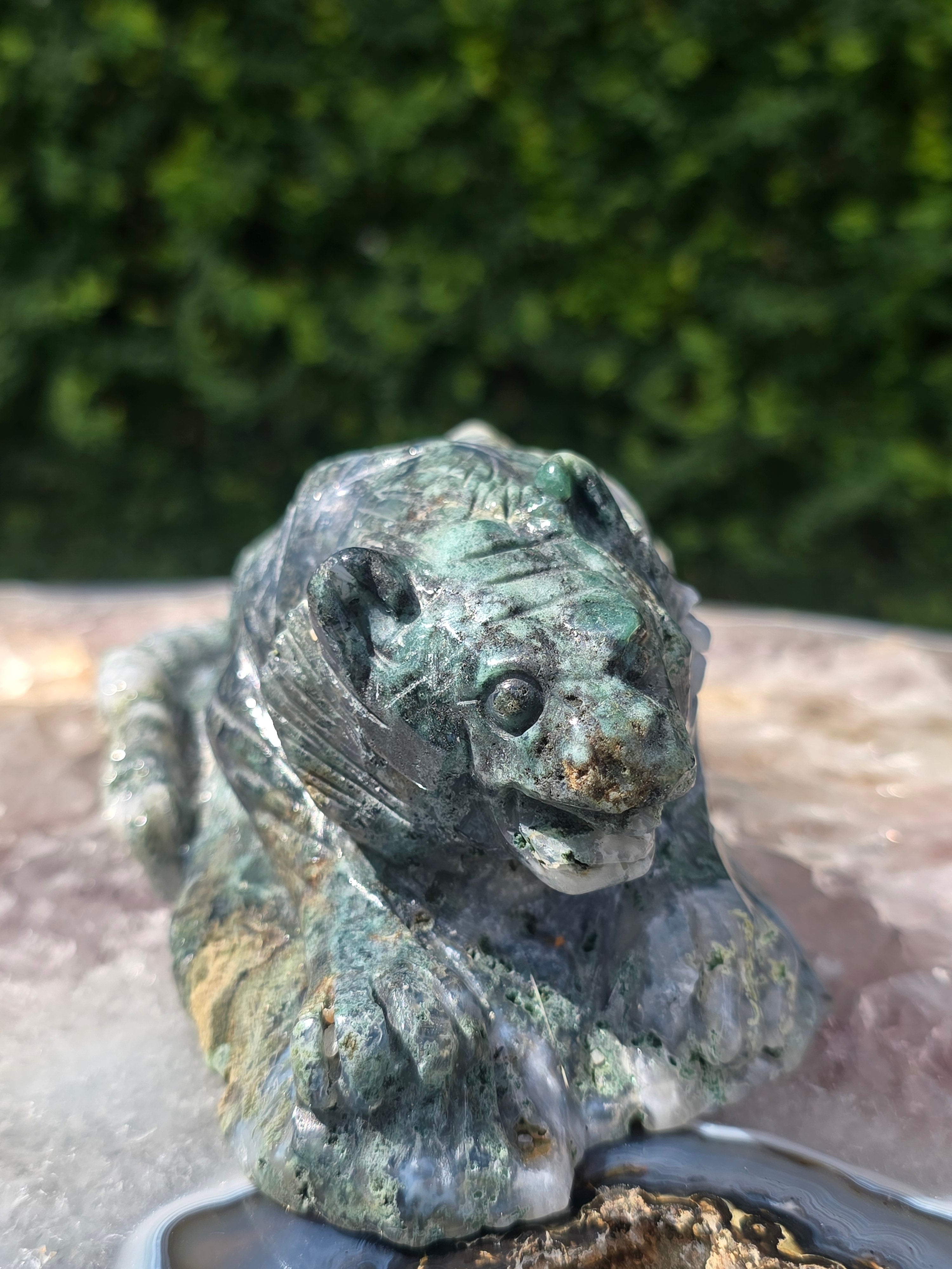 Moss Agate Tiger #6