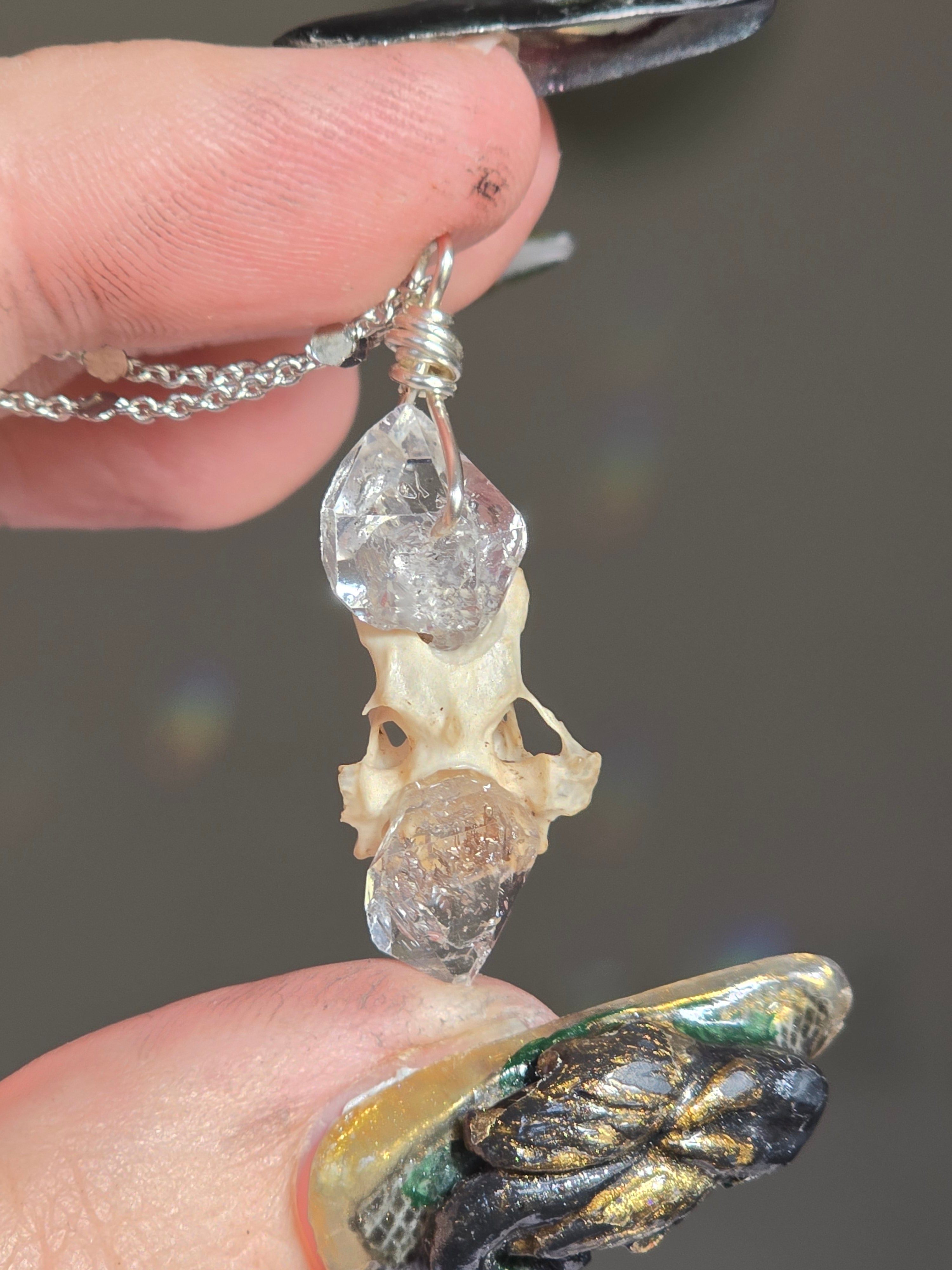 Herkimer Diamond & Vertebrae Necklace #5 Silver