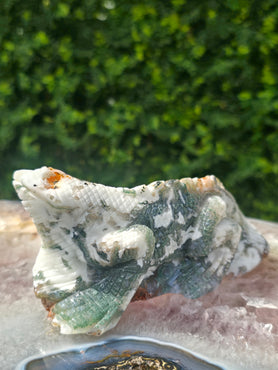 Moss Agate Lizard #5