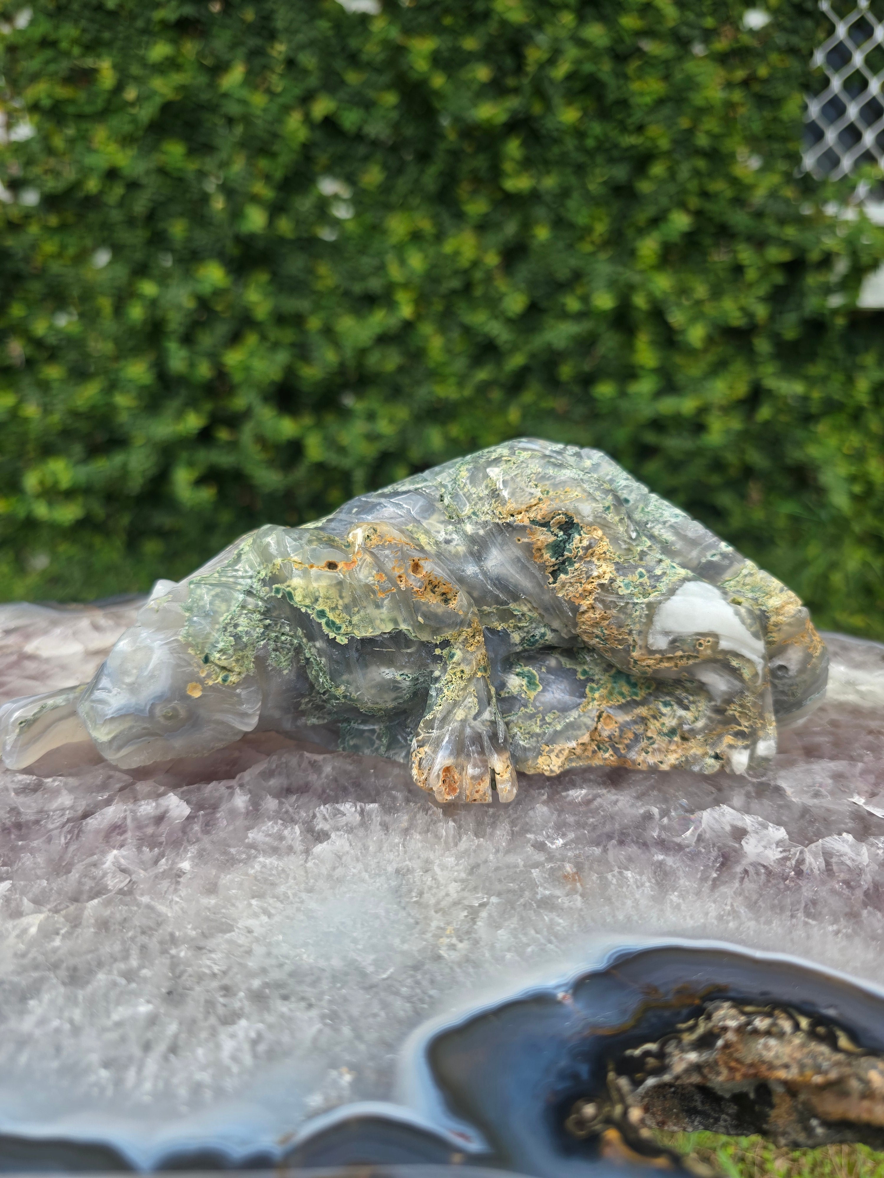 Moss Agate Tiger #9