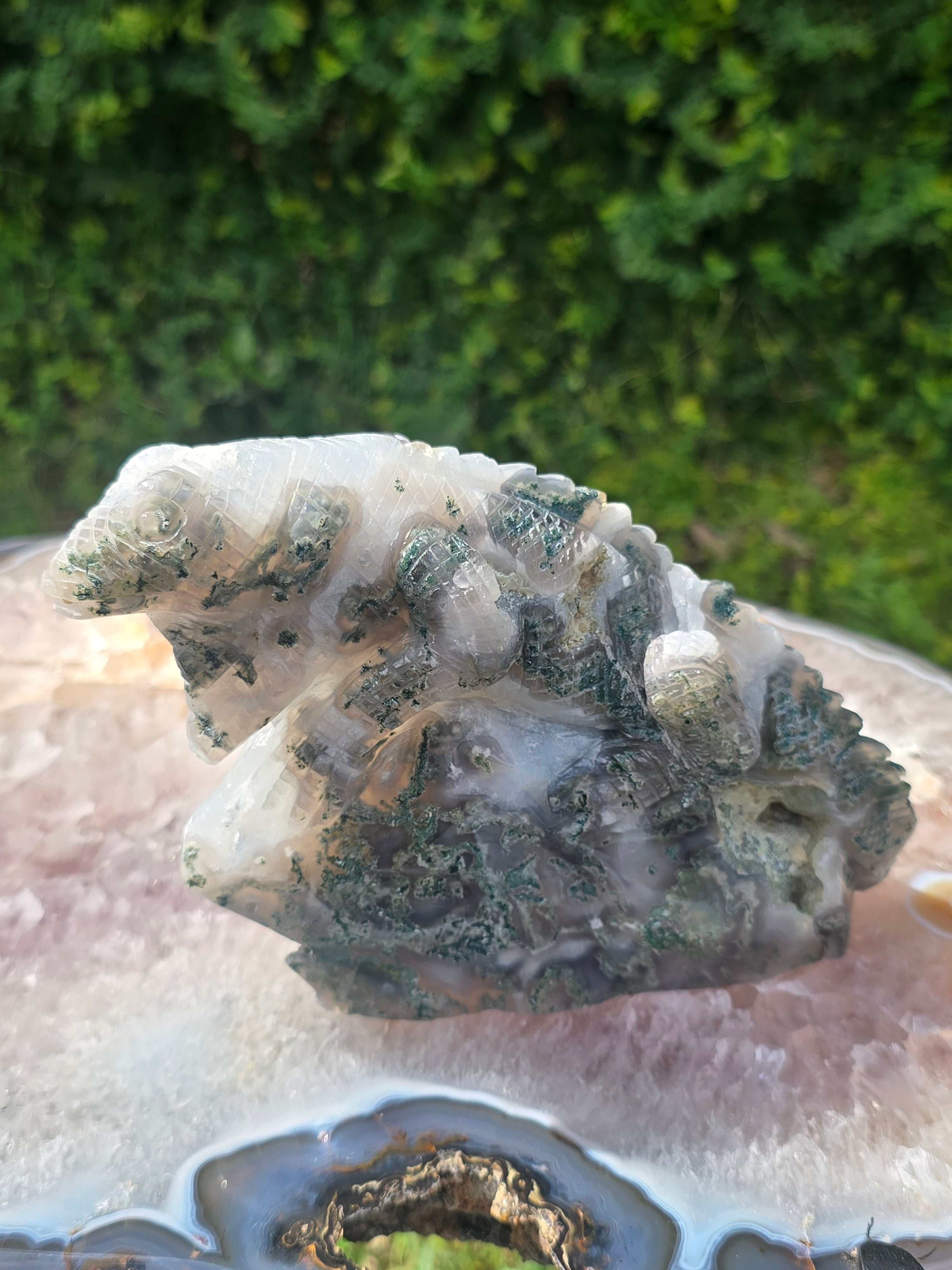 Moss Agate Lizard #3