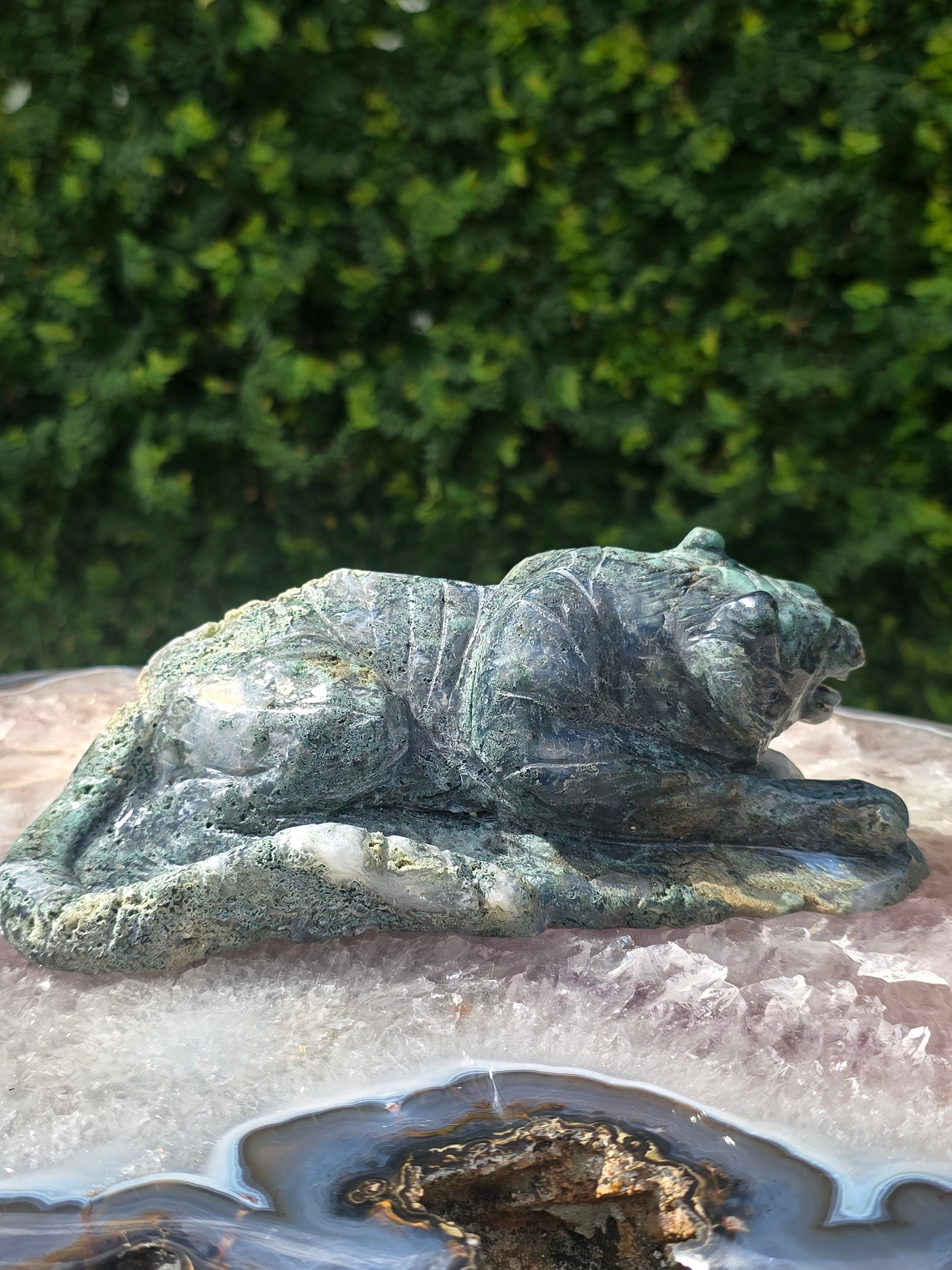 Moss Agate Tiger #6