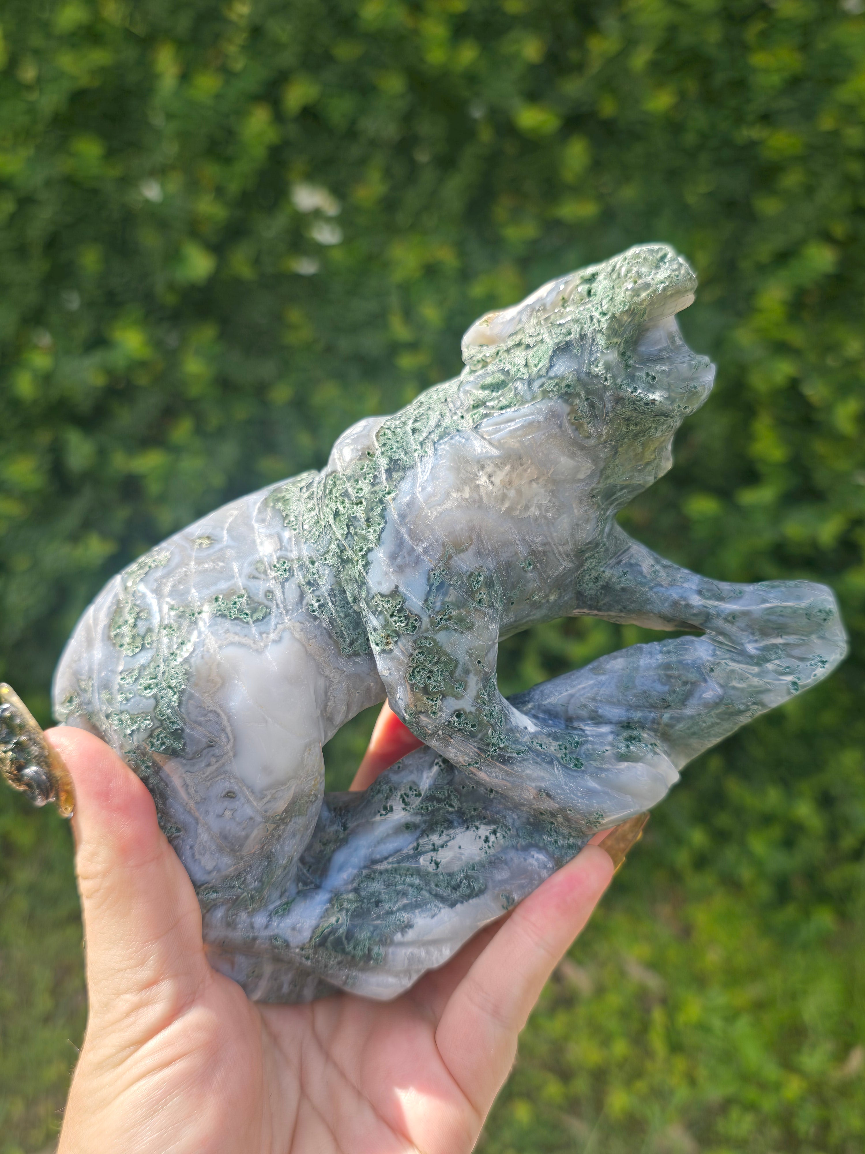 Moss Agate Tiger #5