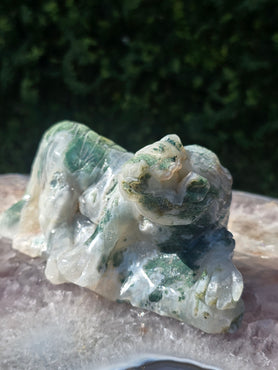 Moss Agate Tiger #2