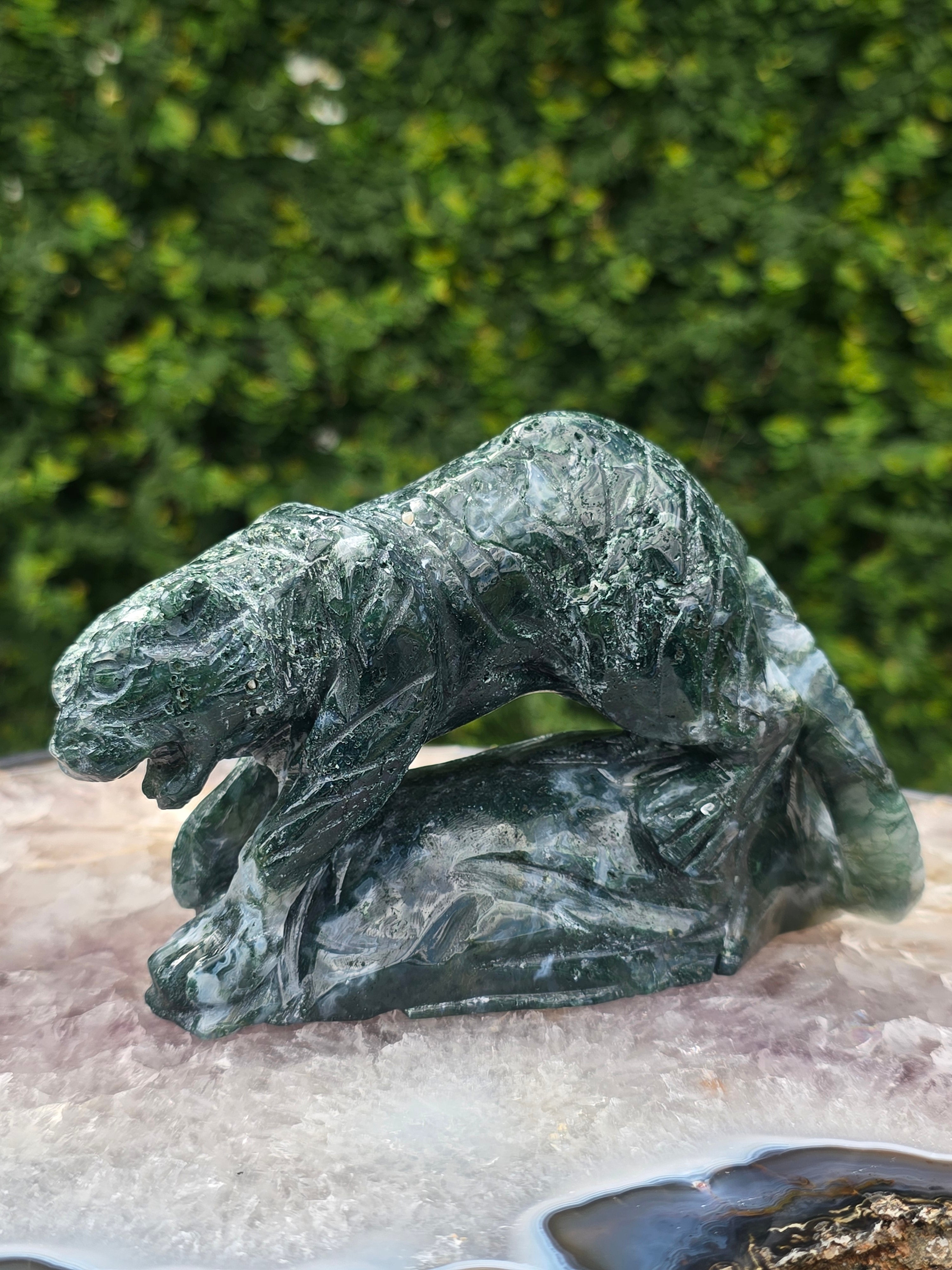 Moss Agate Tiger #10