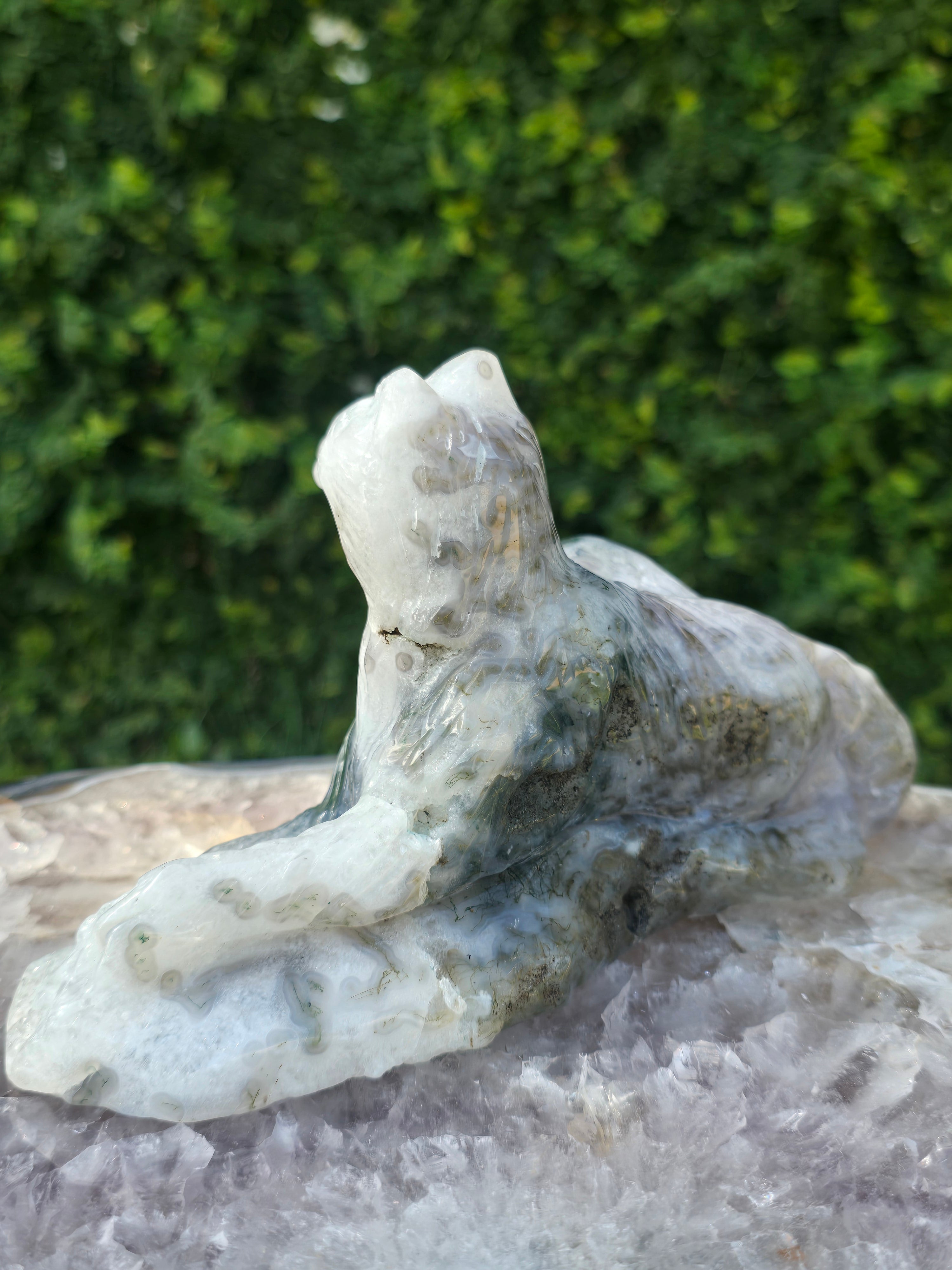 Moss Agate Laying Wolf #1