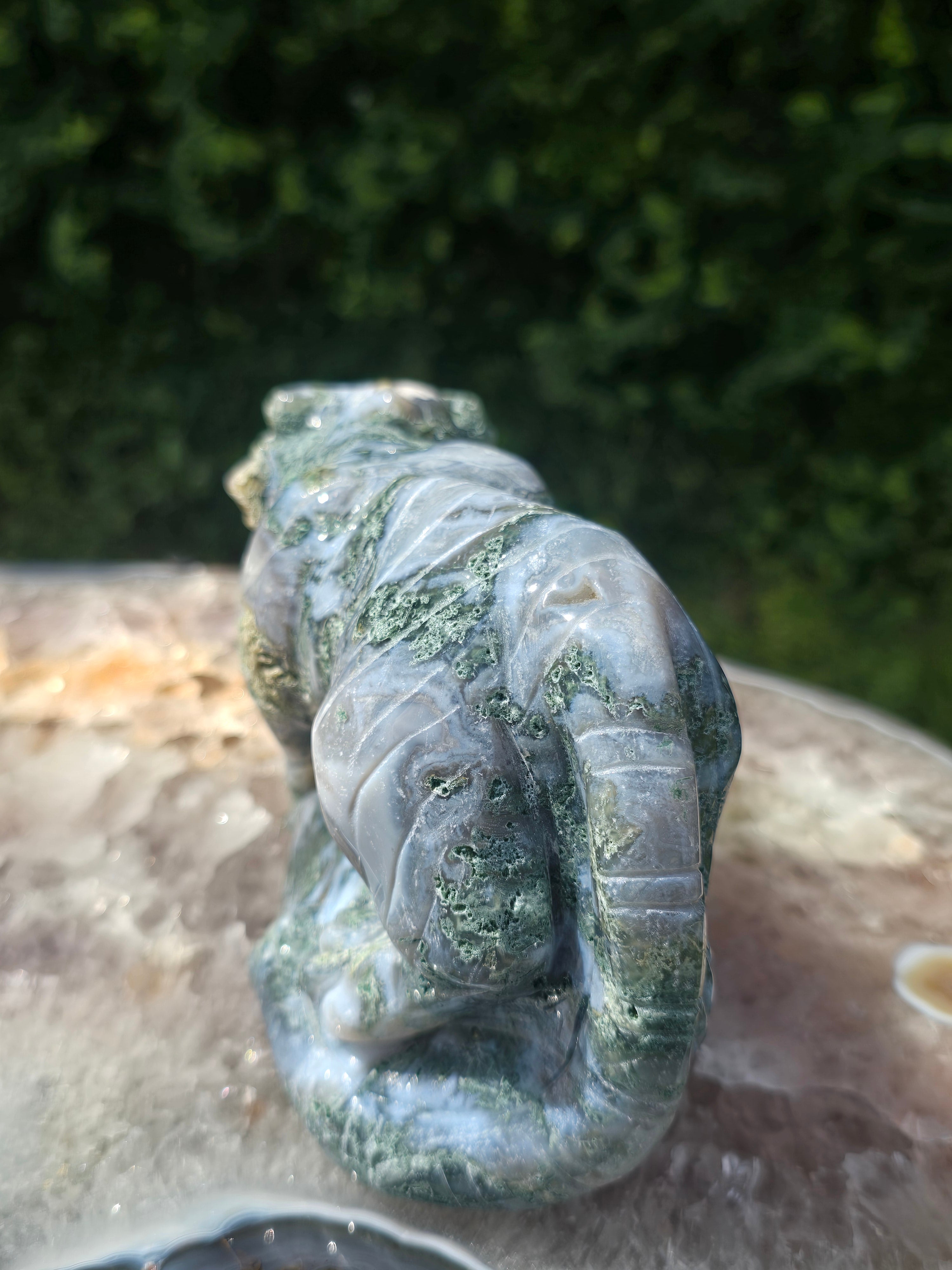 Moss Agate Tiger #5