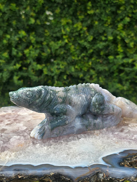 Moss Agate Lizard #8