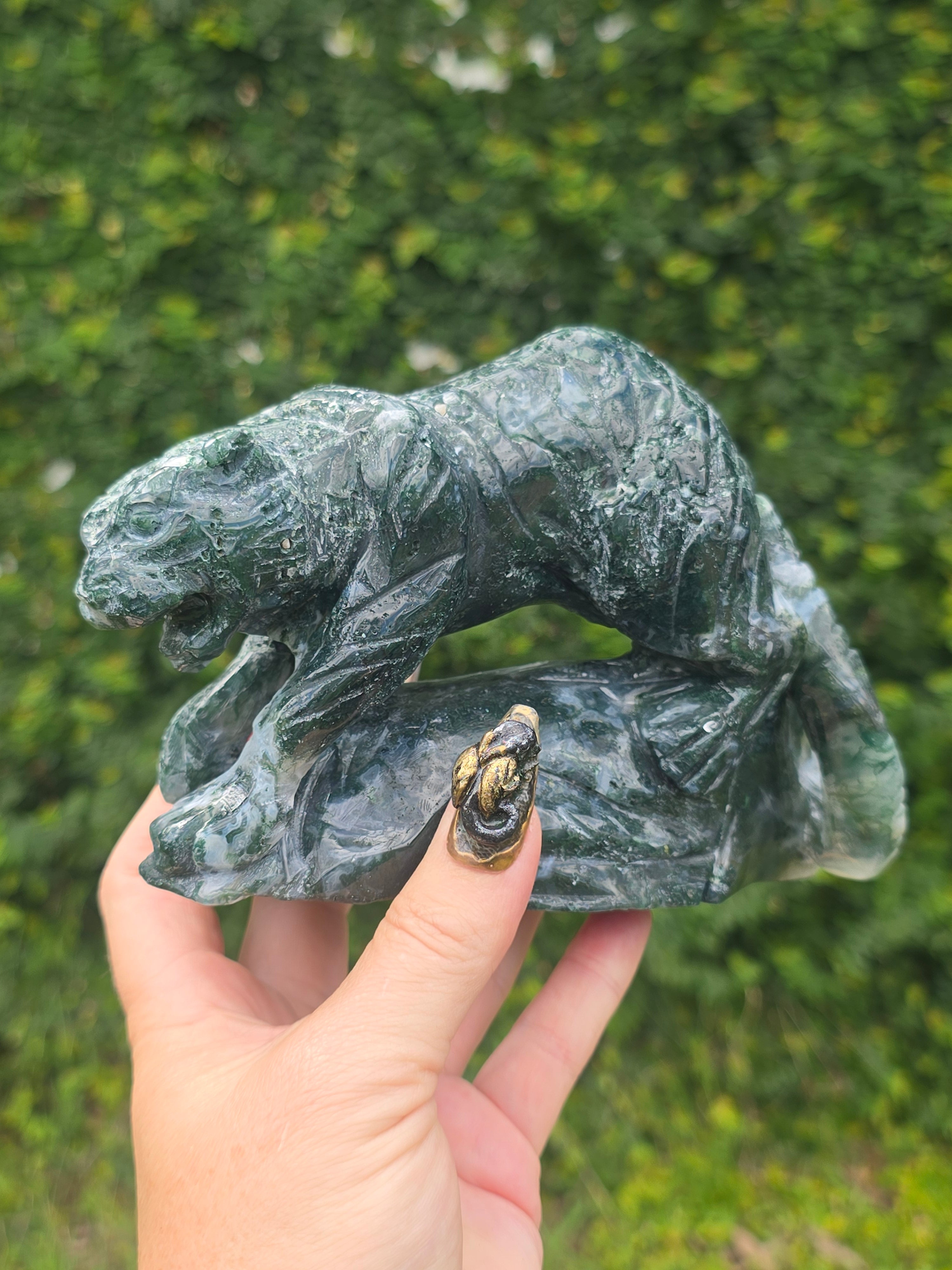 Moss Agate Tiger #10