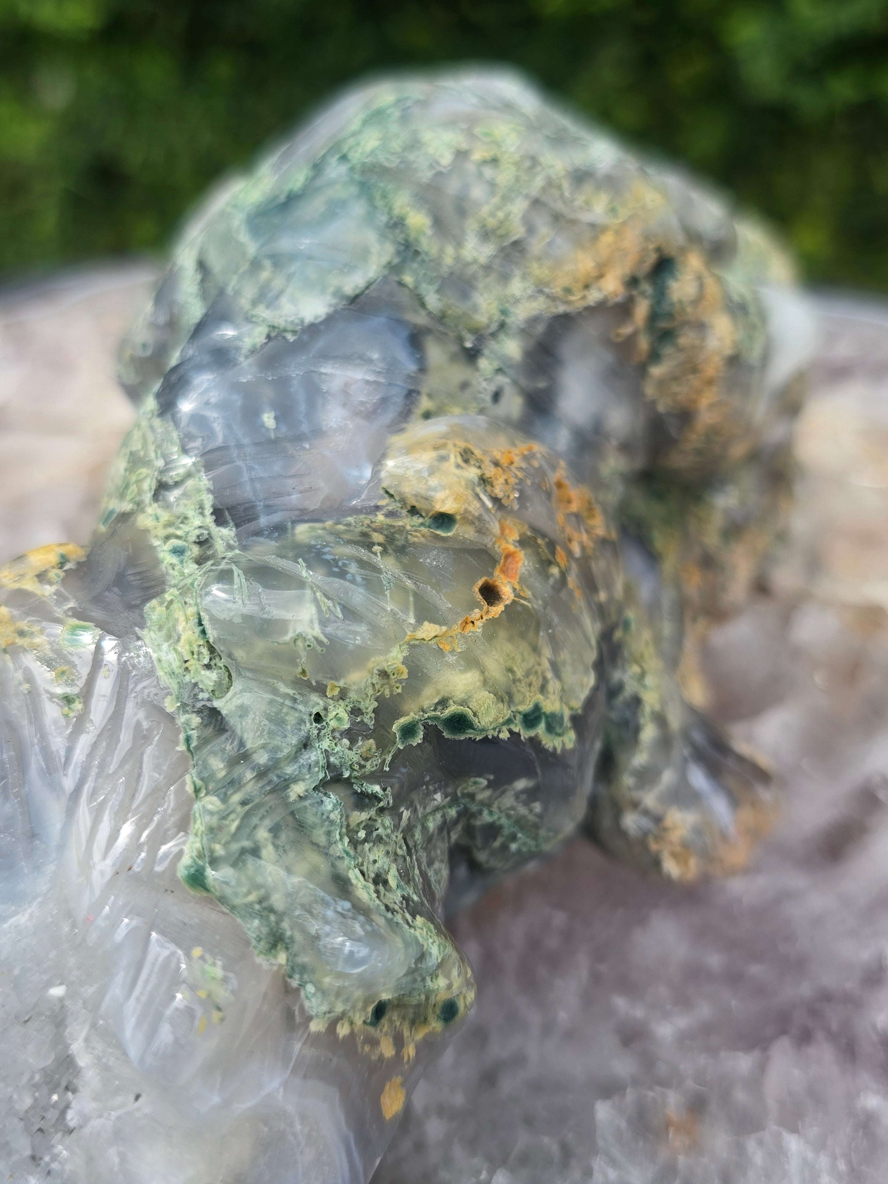 Moss Agate Tiger #9