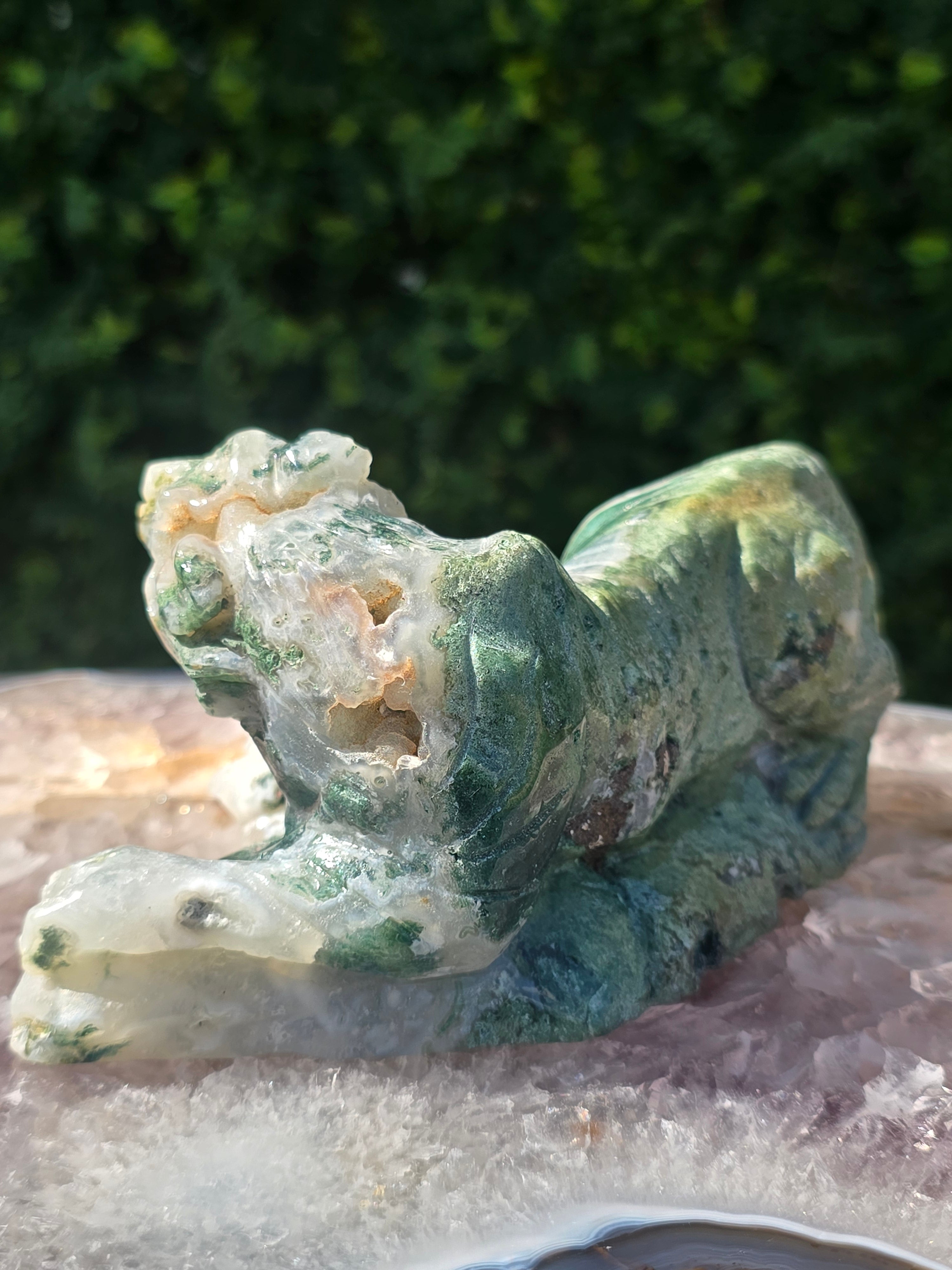 Moss Agate Tiger #2