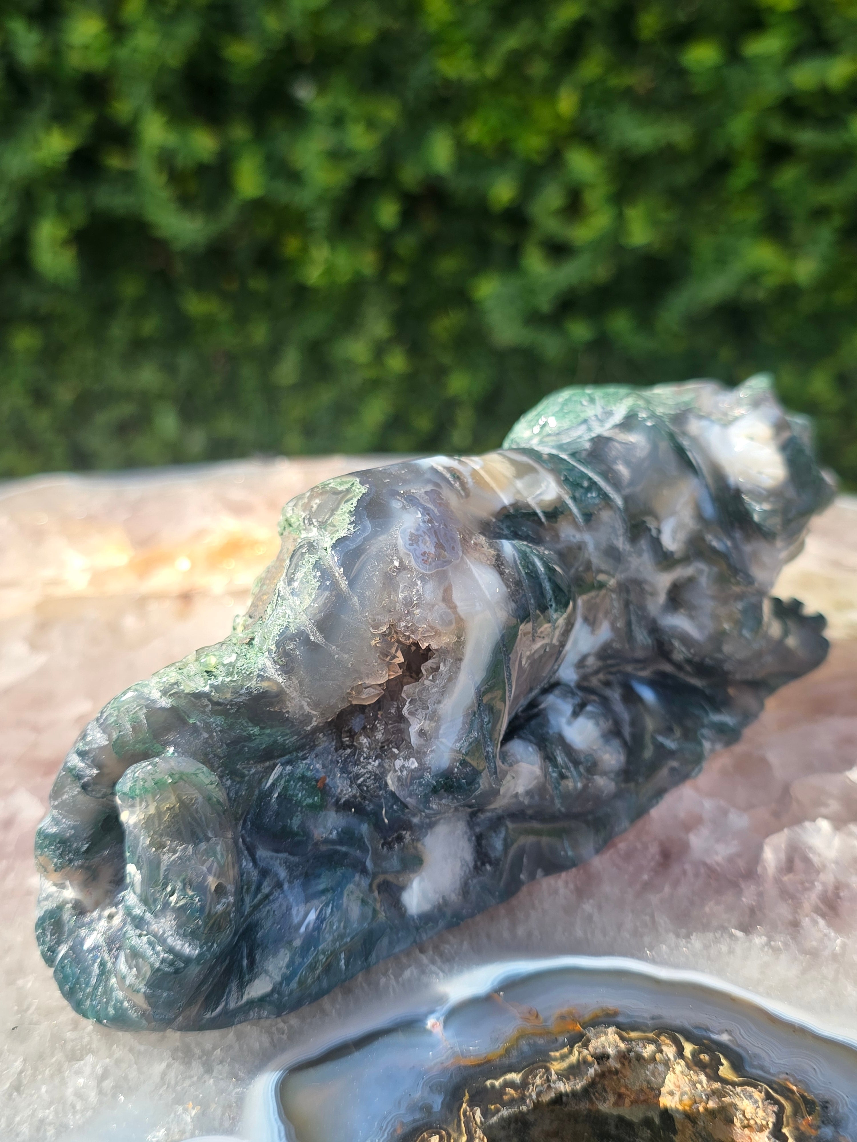 Moss Agate Tiger #4