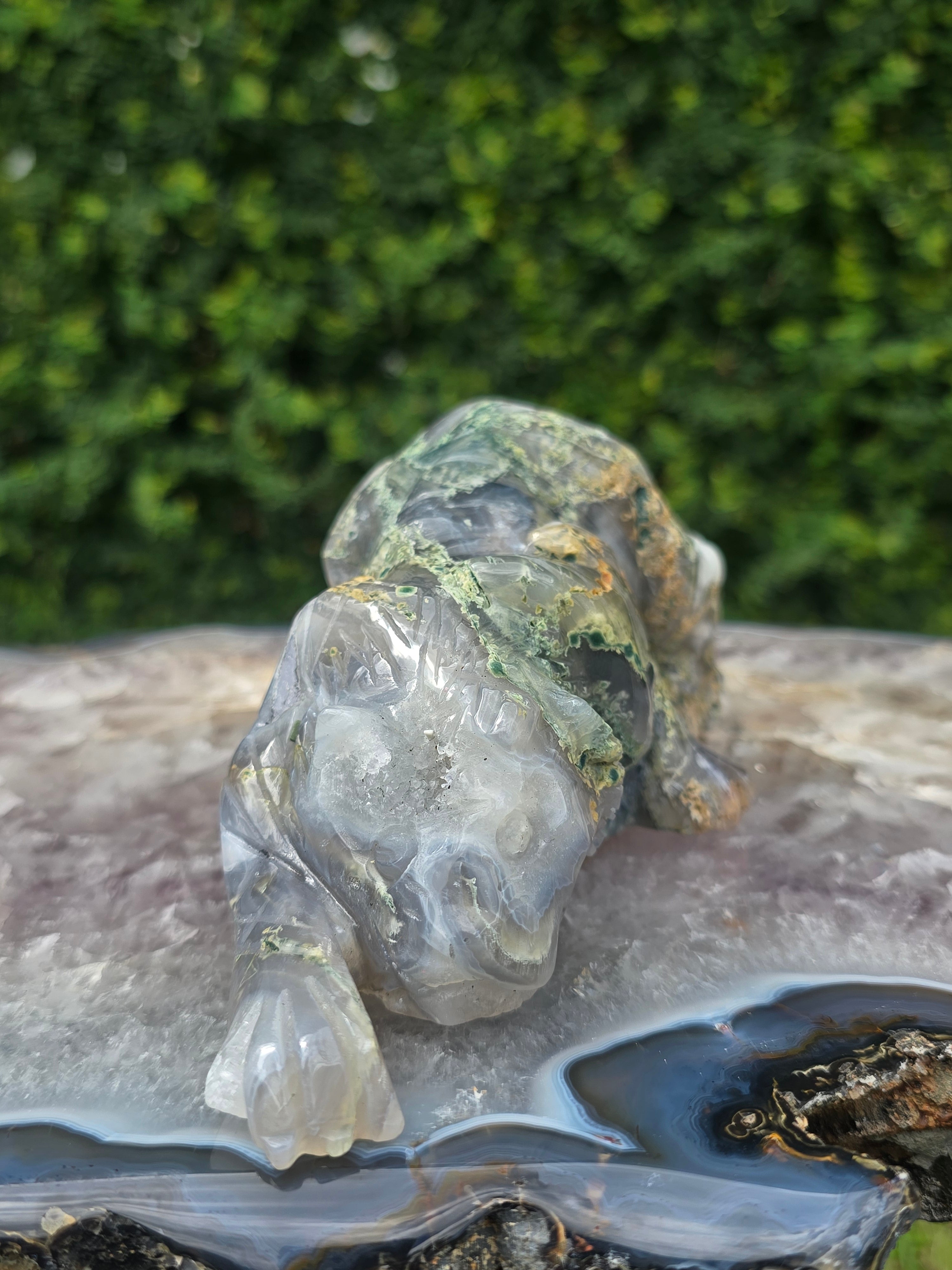 Moss Agate Tiger #9