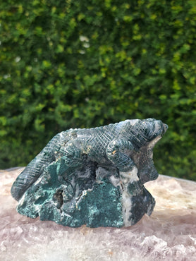 Moss Agate Lizard #6