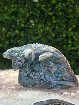 Moss Agate Lizard #14