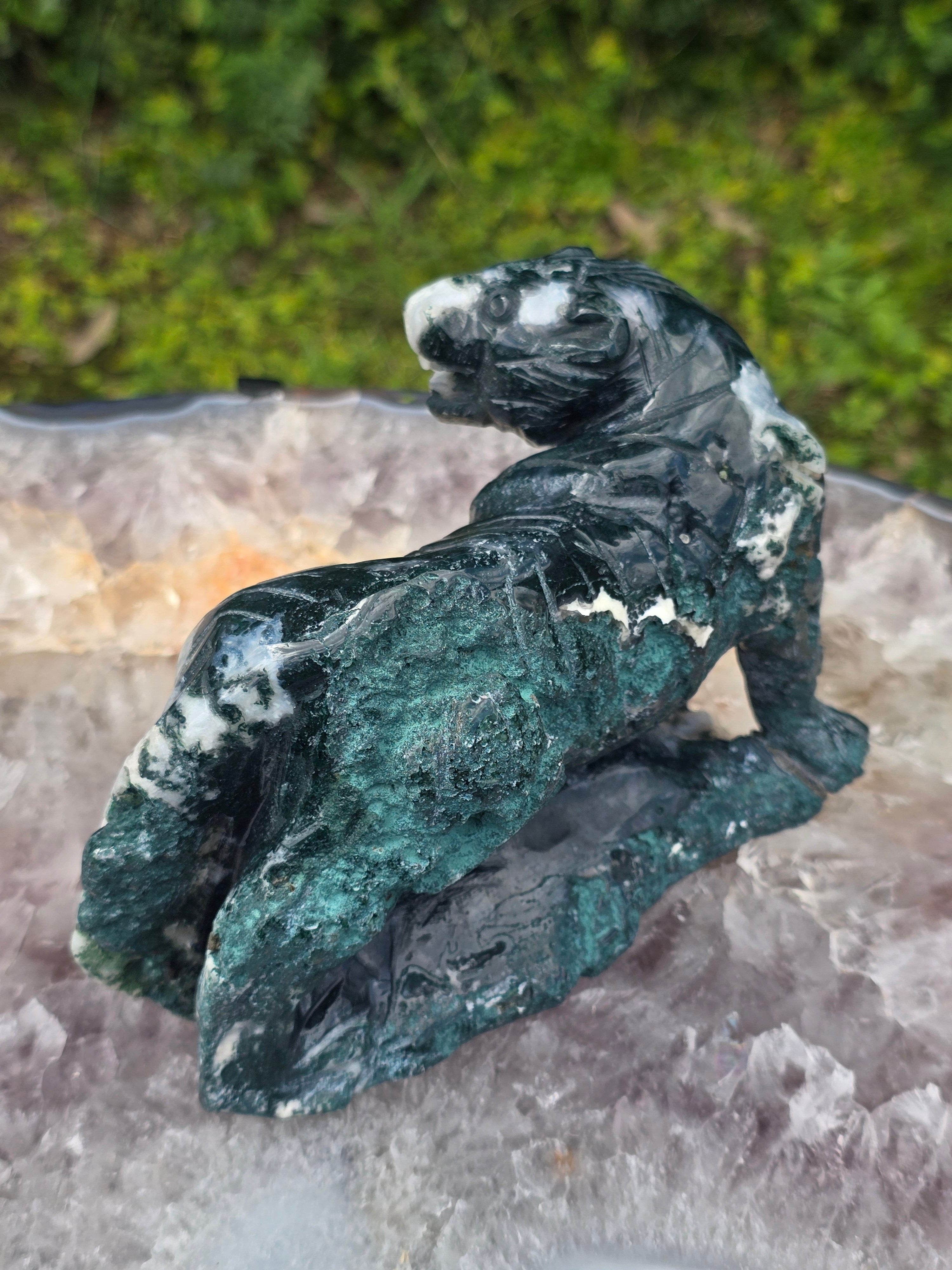 Moss Agate Tiger #12