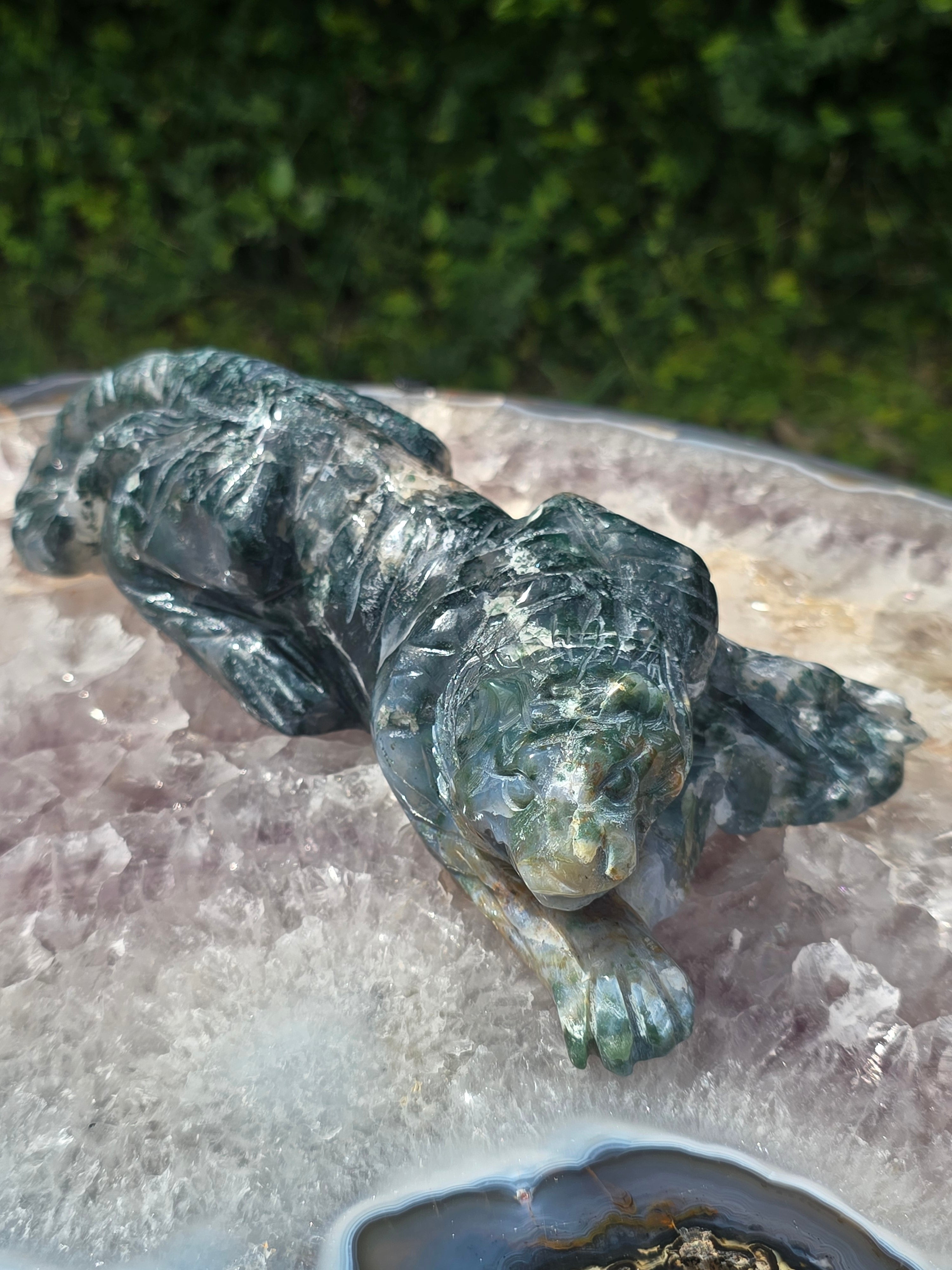 Moss Agate Tiger #8