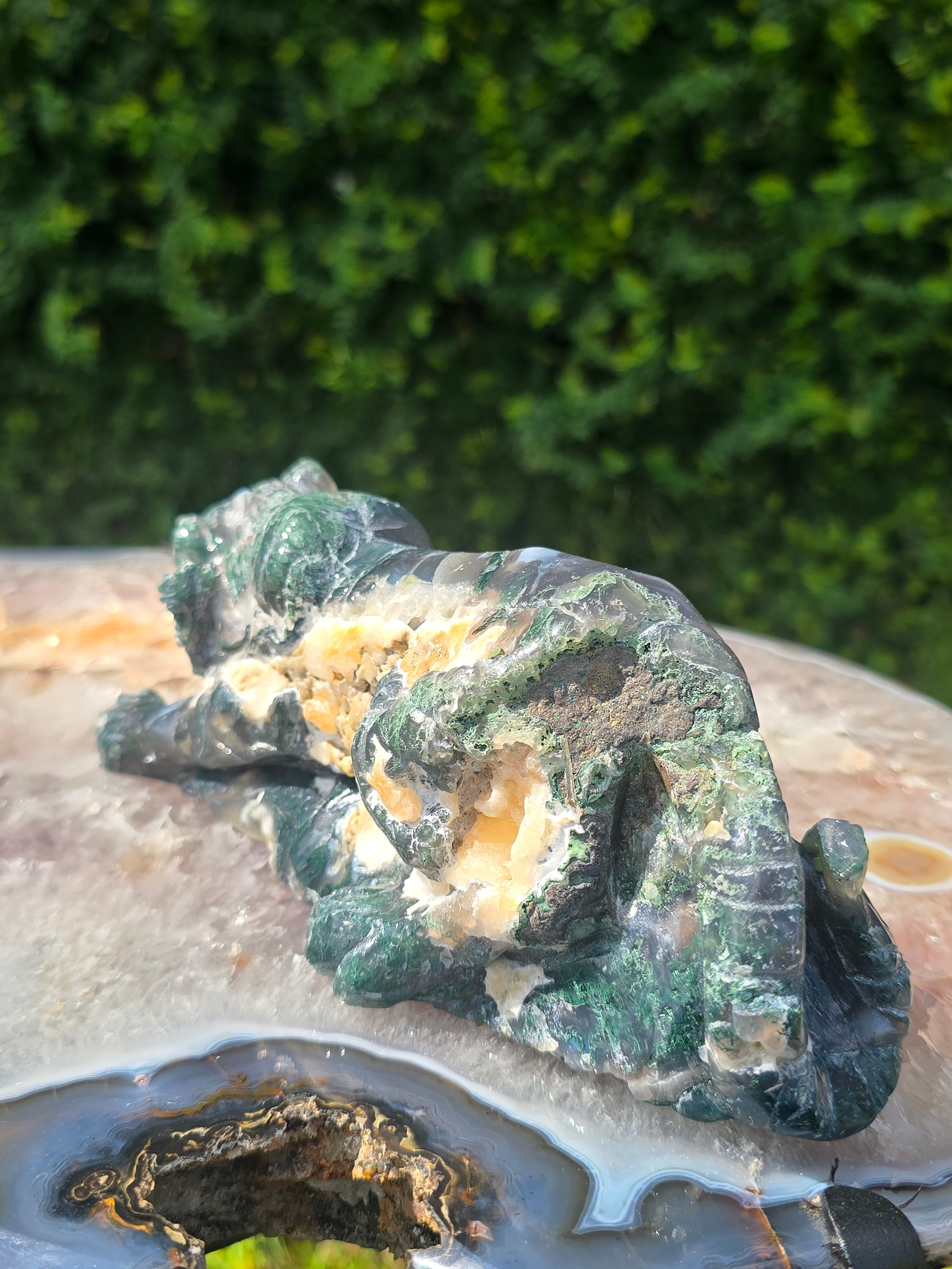 Moss Agate Tiger #4