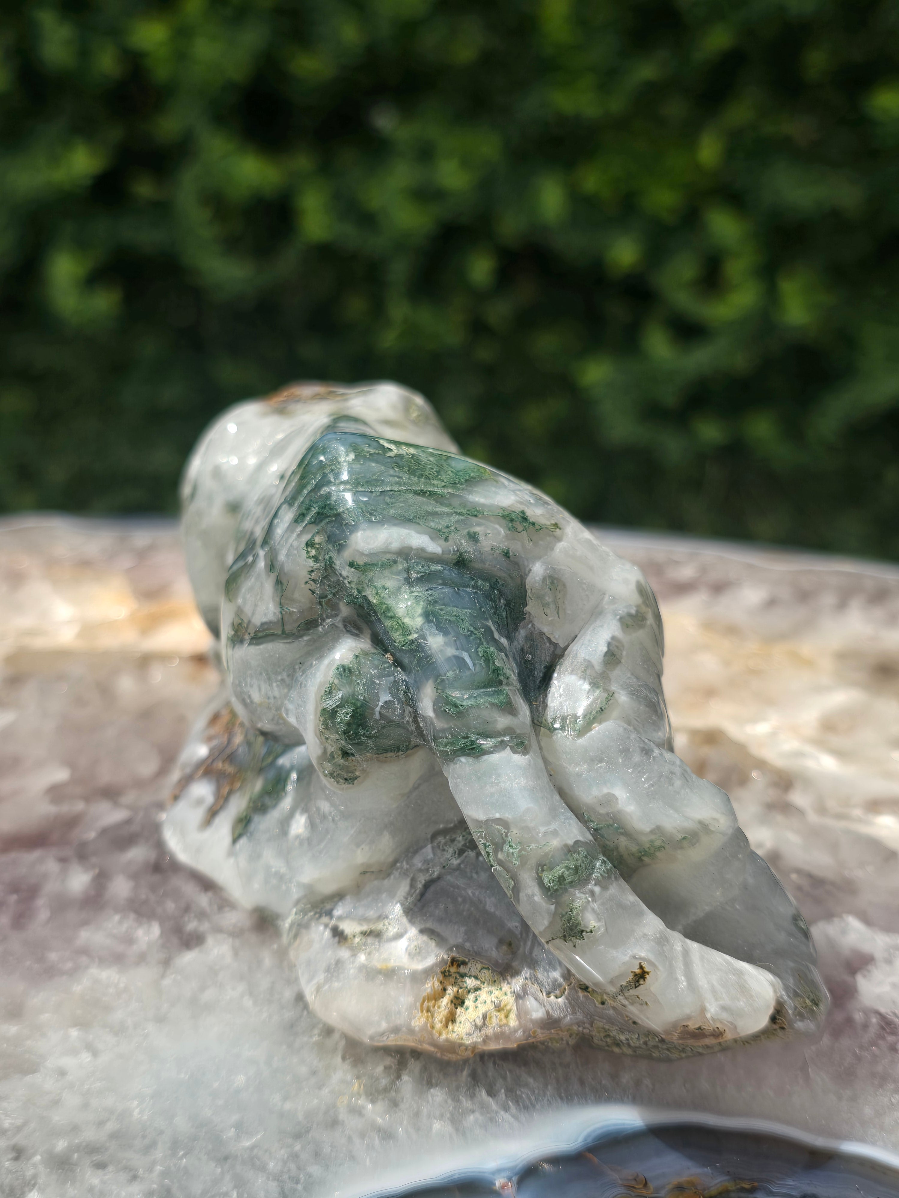 Moss Agate Tiger #9