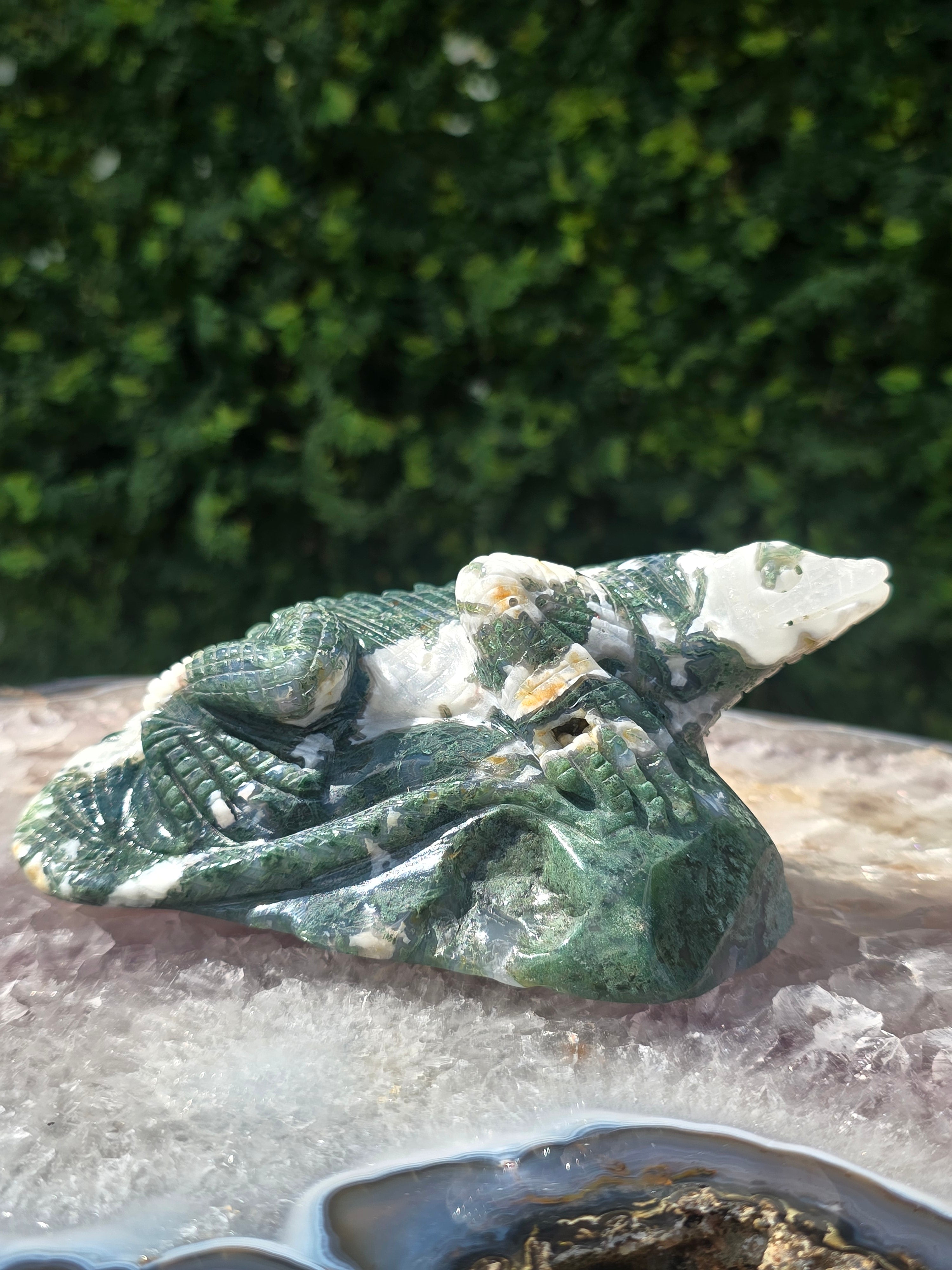 Moss Agate Lizard #2