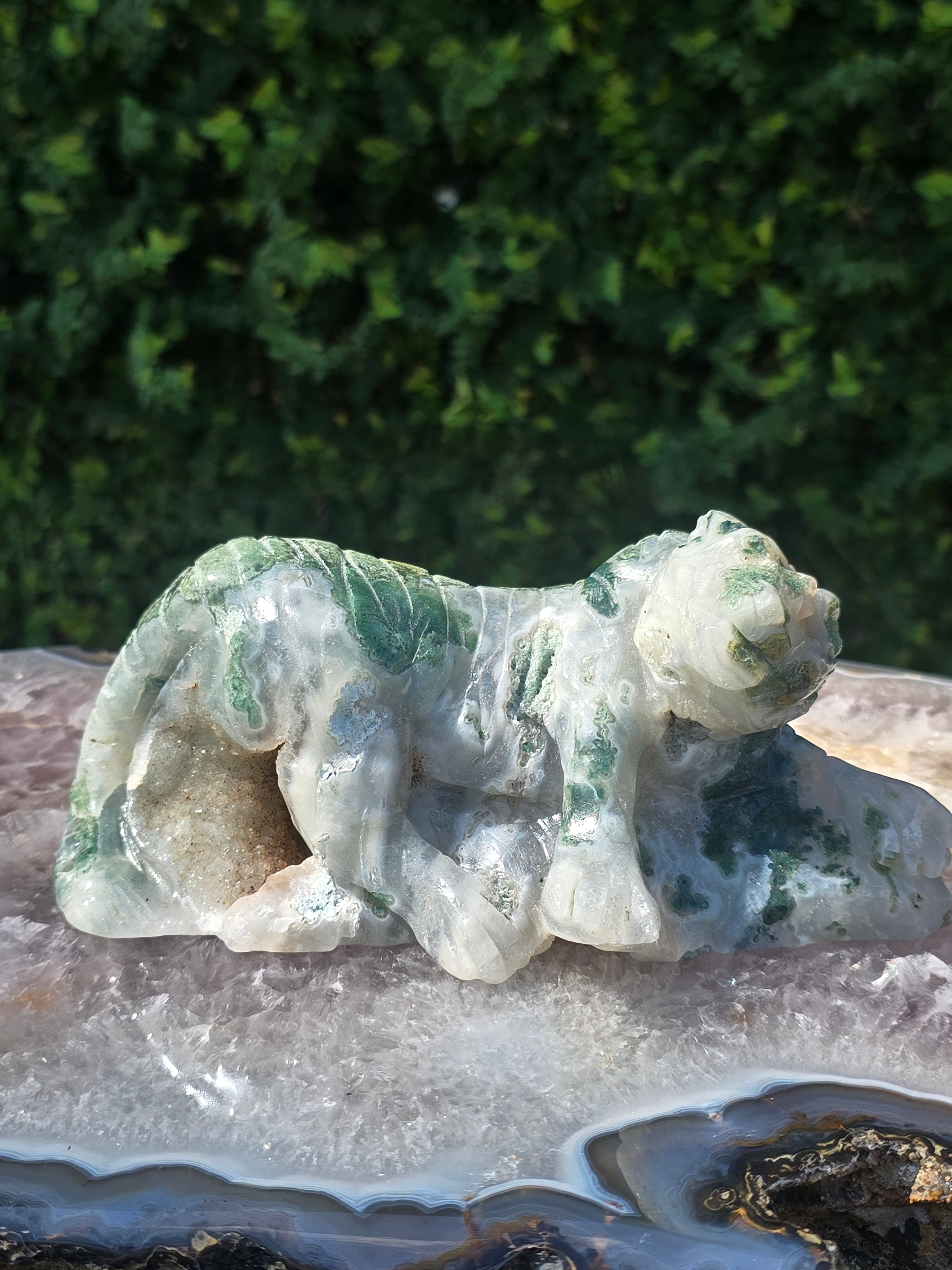 Moss Agate Tiger #2