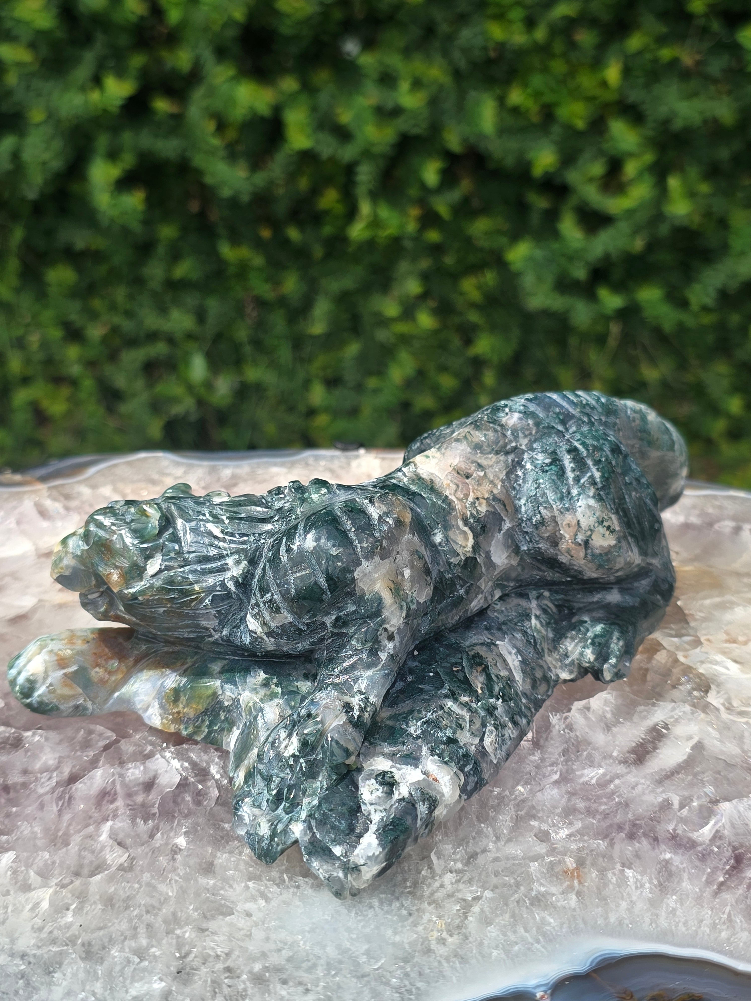 Moss Agate Tiger #8