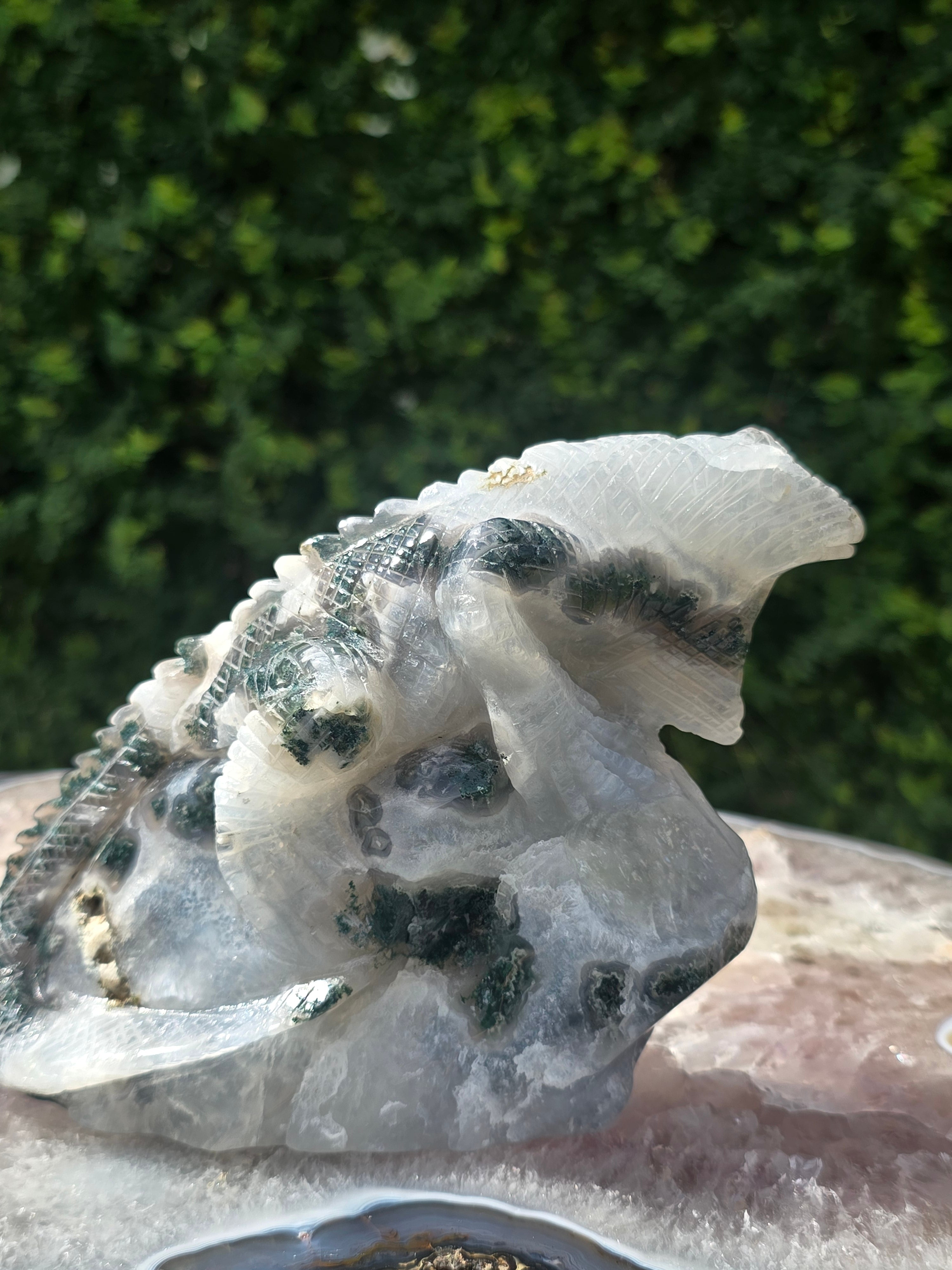 Moss Agate Lizard #3