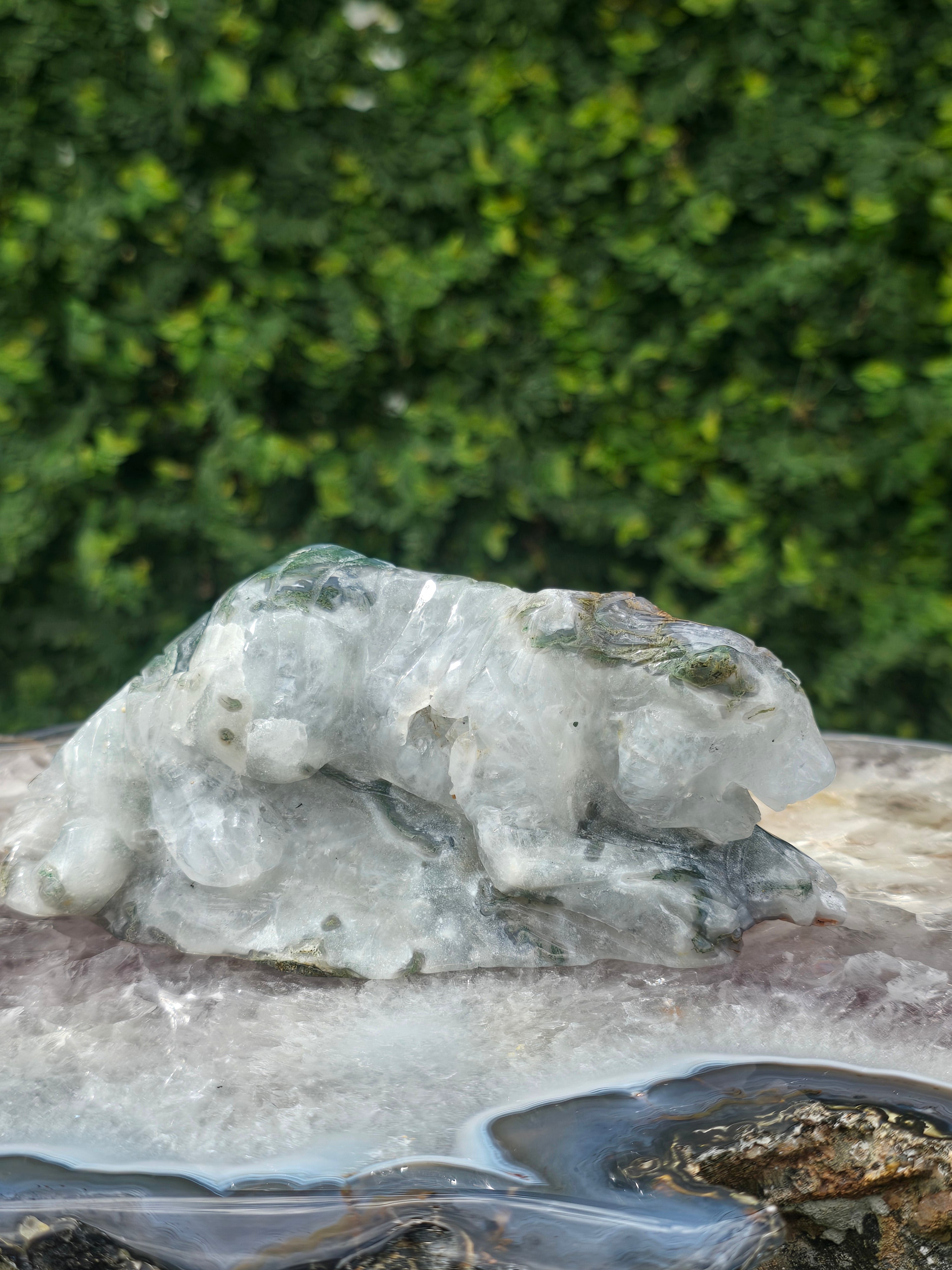 Moss Agate Tiger #9