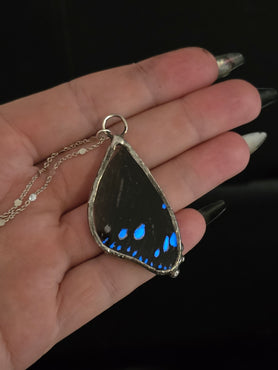 Real Butterfly Necklace | Glow in the Dark