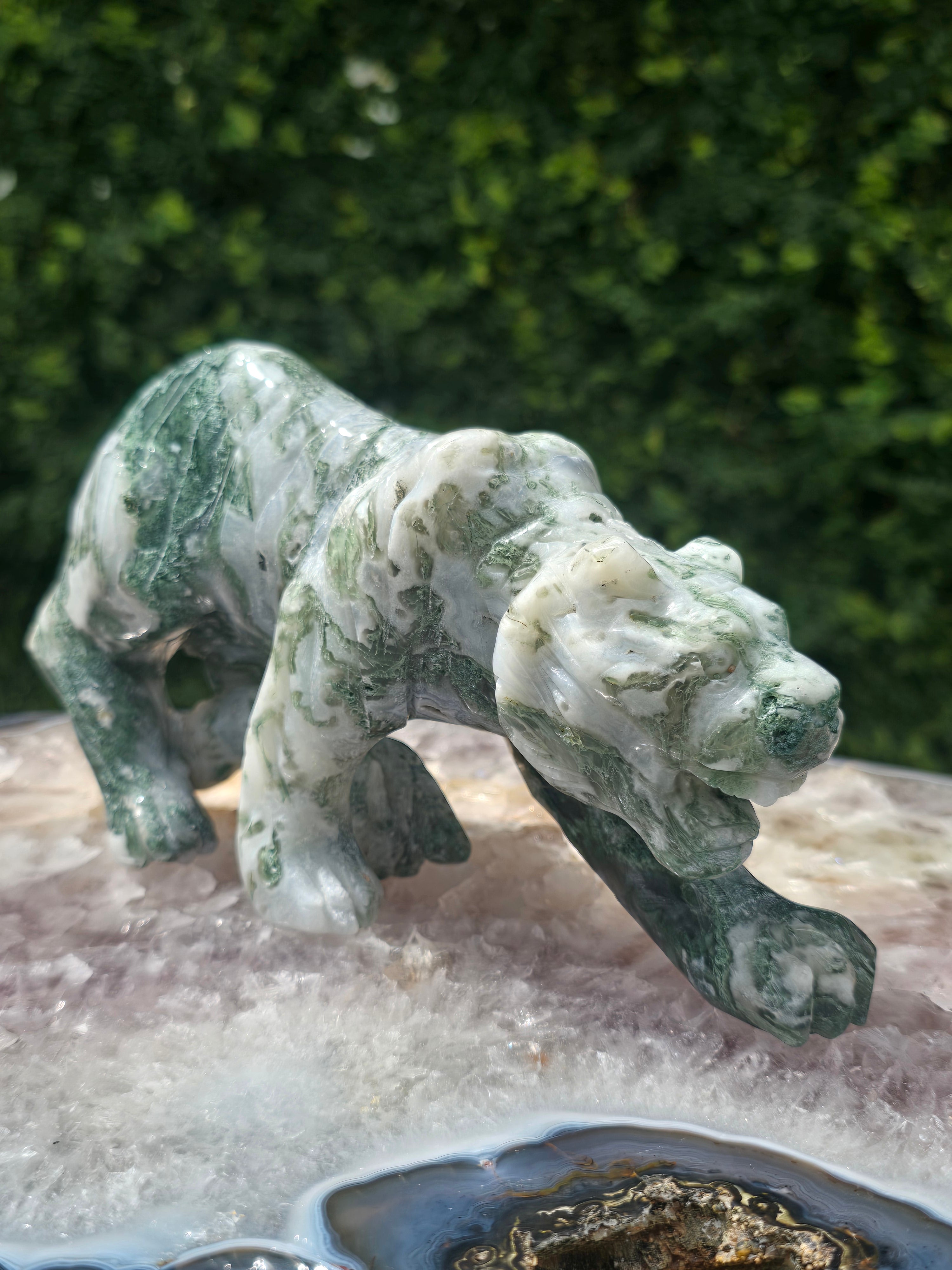 Moss Agate Tiger #11