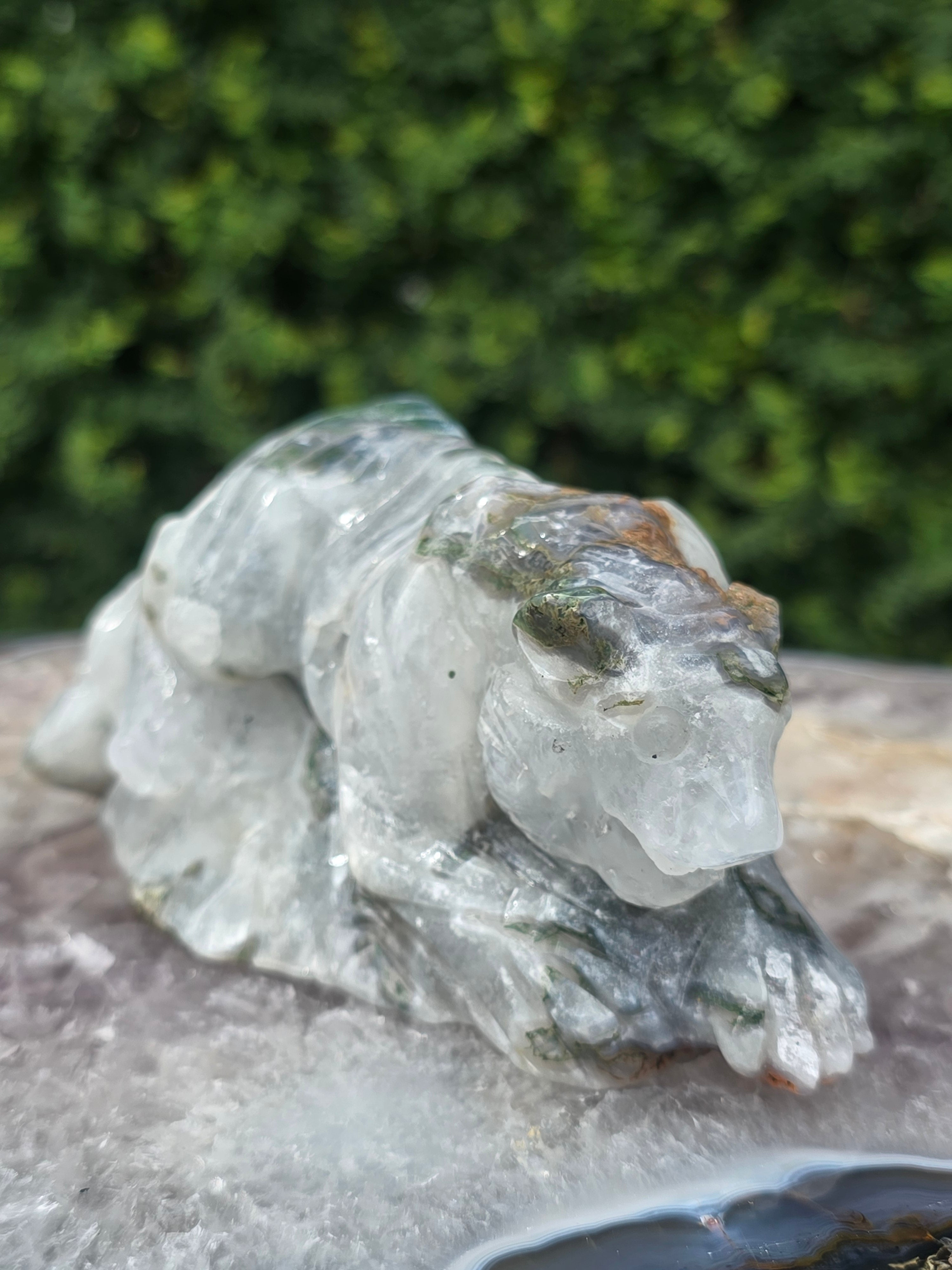 Moss Agate Tiger #9