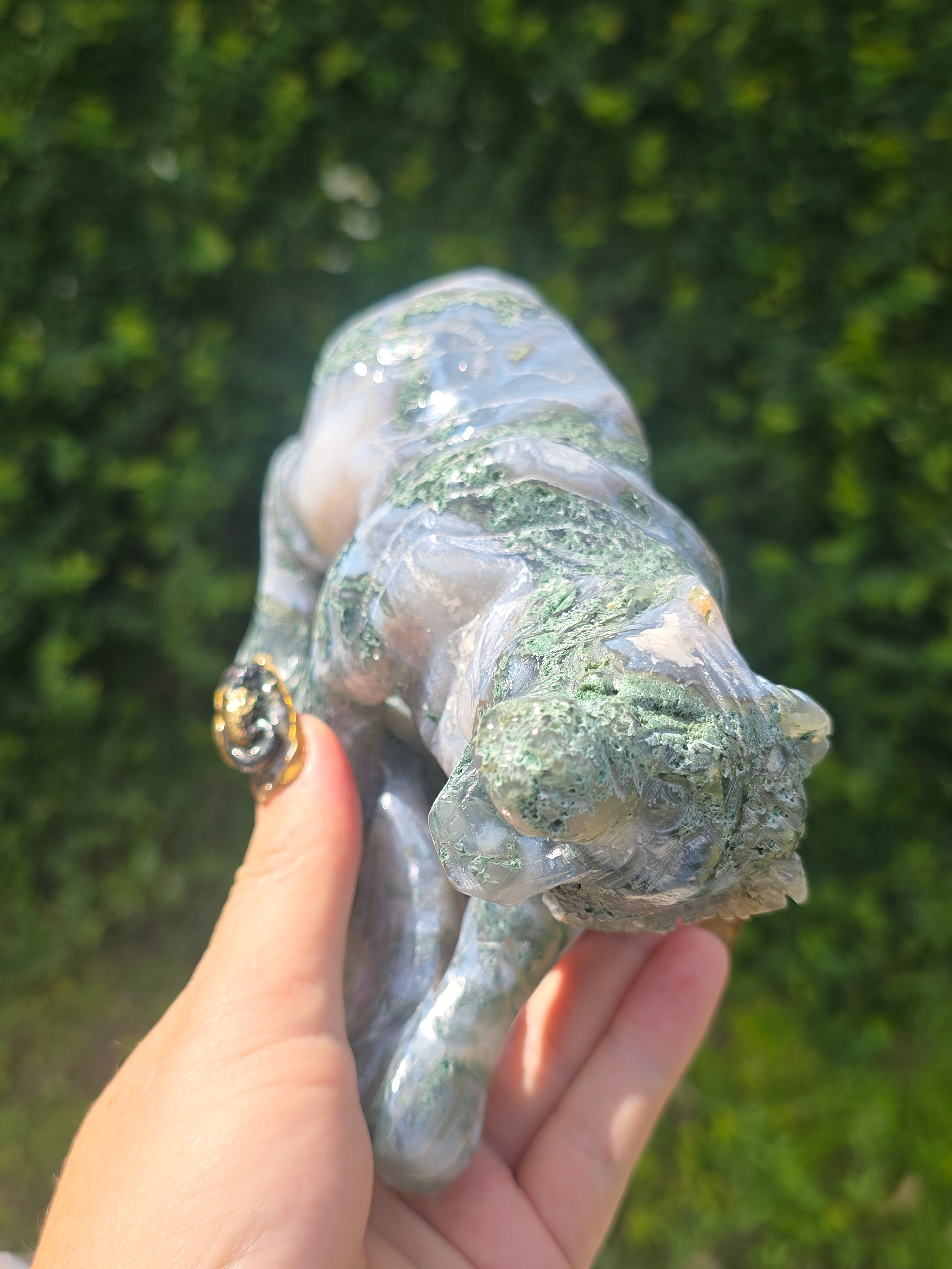 Moss Agate Tiger #5