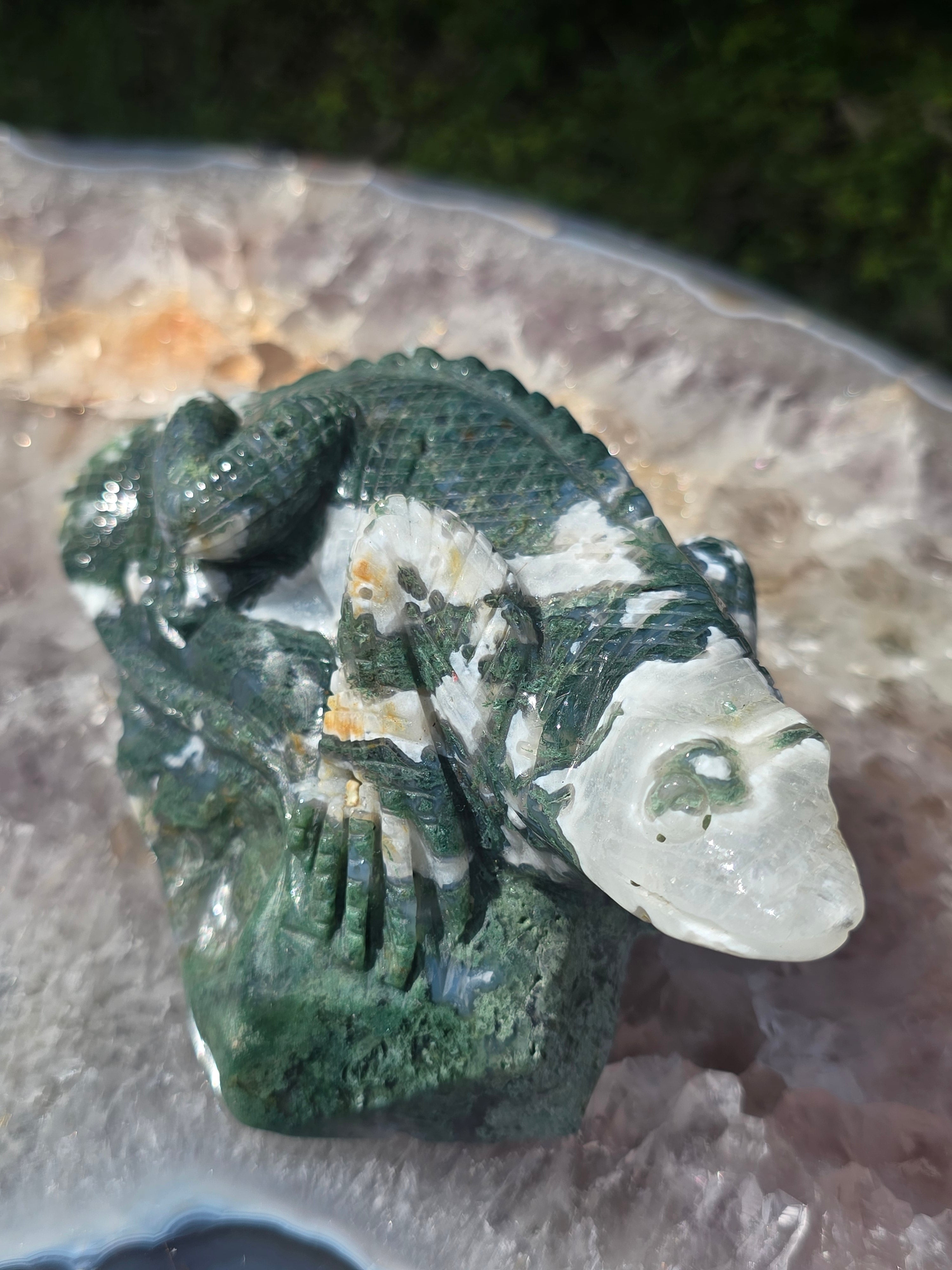 Moss Agate Lizard #2