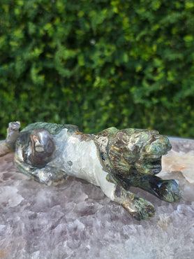 Moss Agate Tiger #1