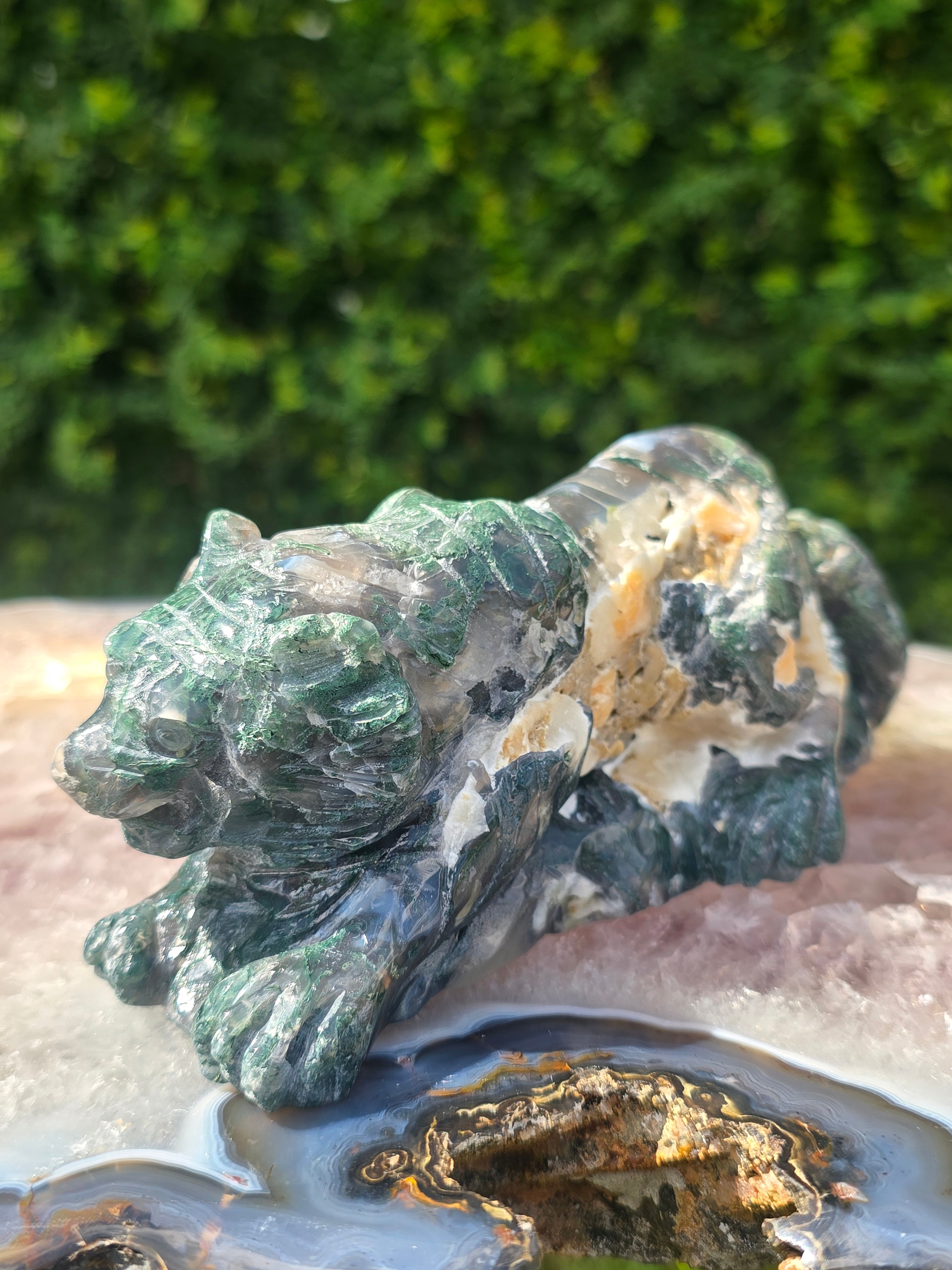 Moss Agate Tiger #4