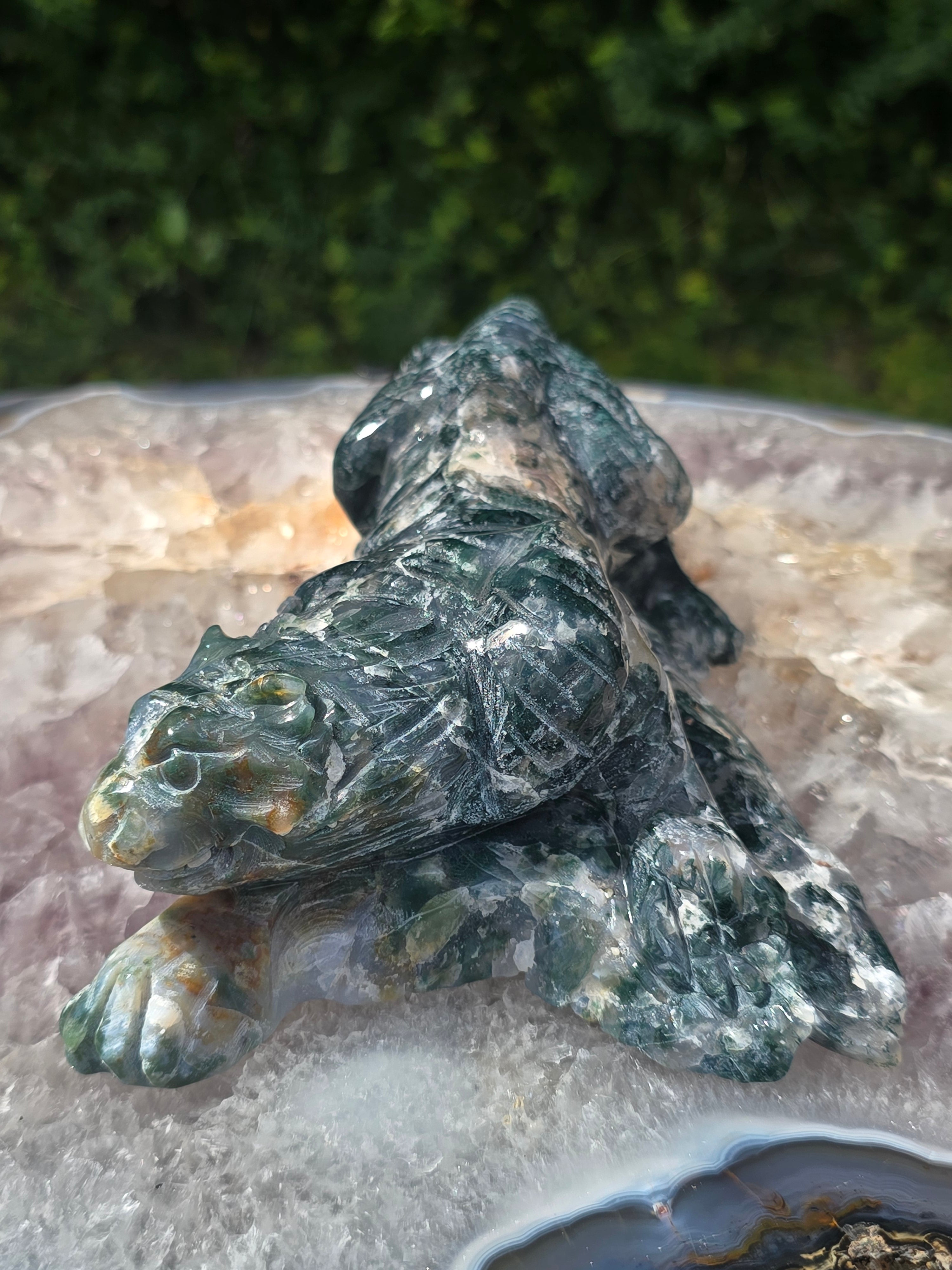 Moss Agate Tiger #8