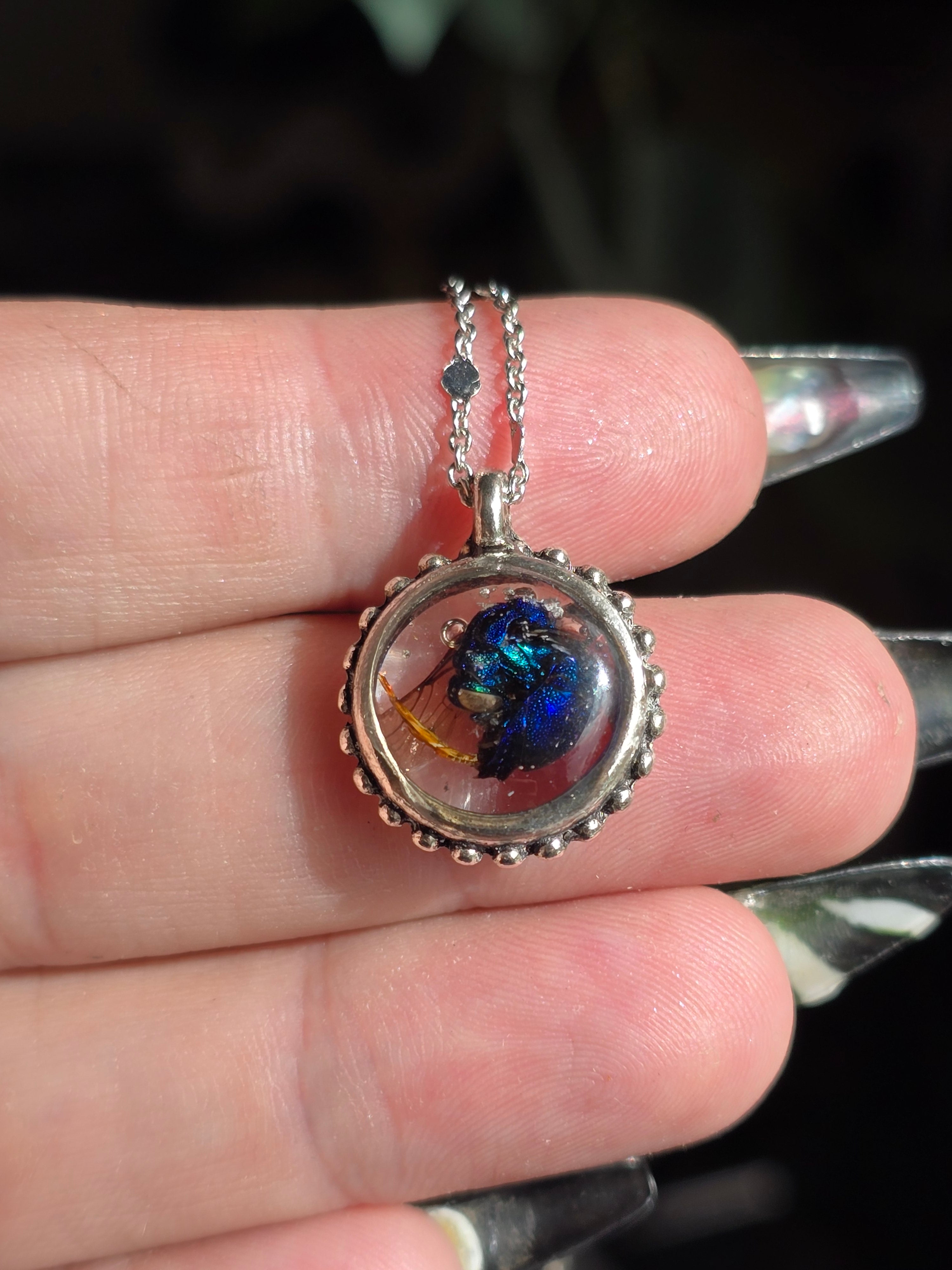 Australian Cuckoo Wasp Necklace