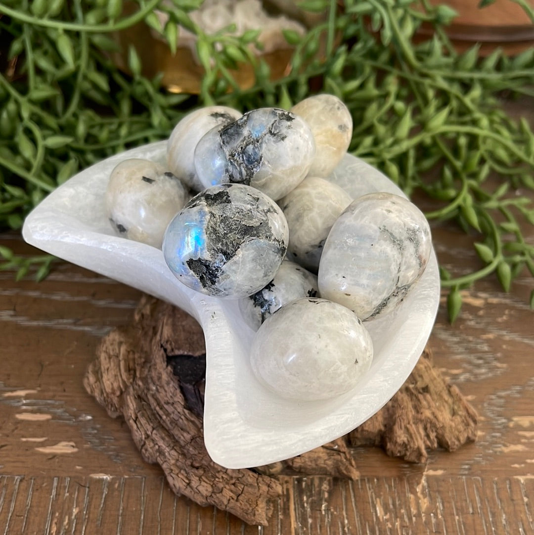 Moonstone | Tumbled Stones | Australia | Crystal Collection