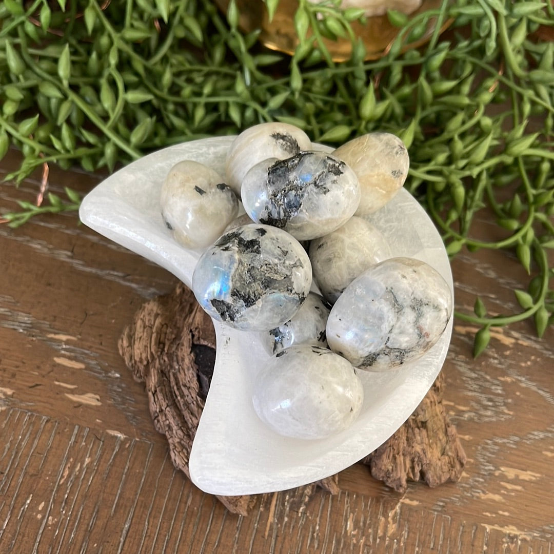 Moonstone | Tumbled Stones | Australia | Crystal Collection